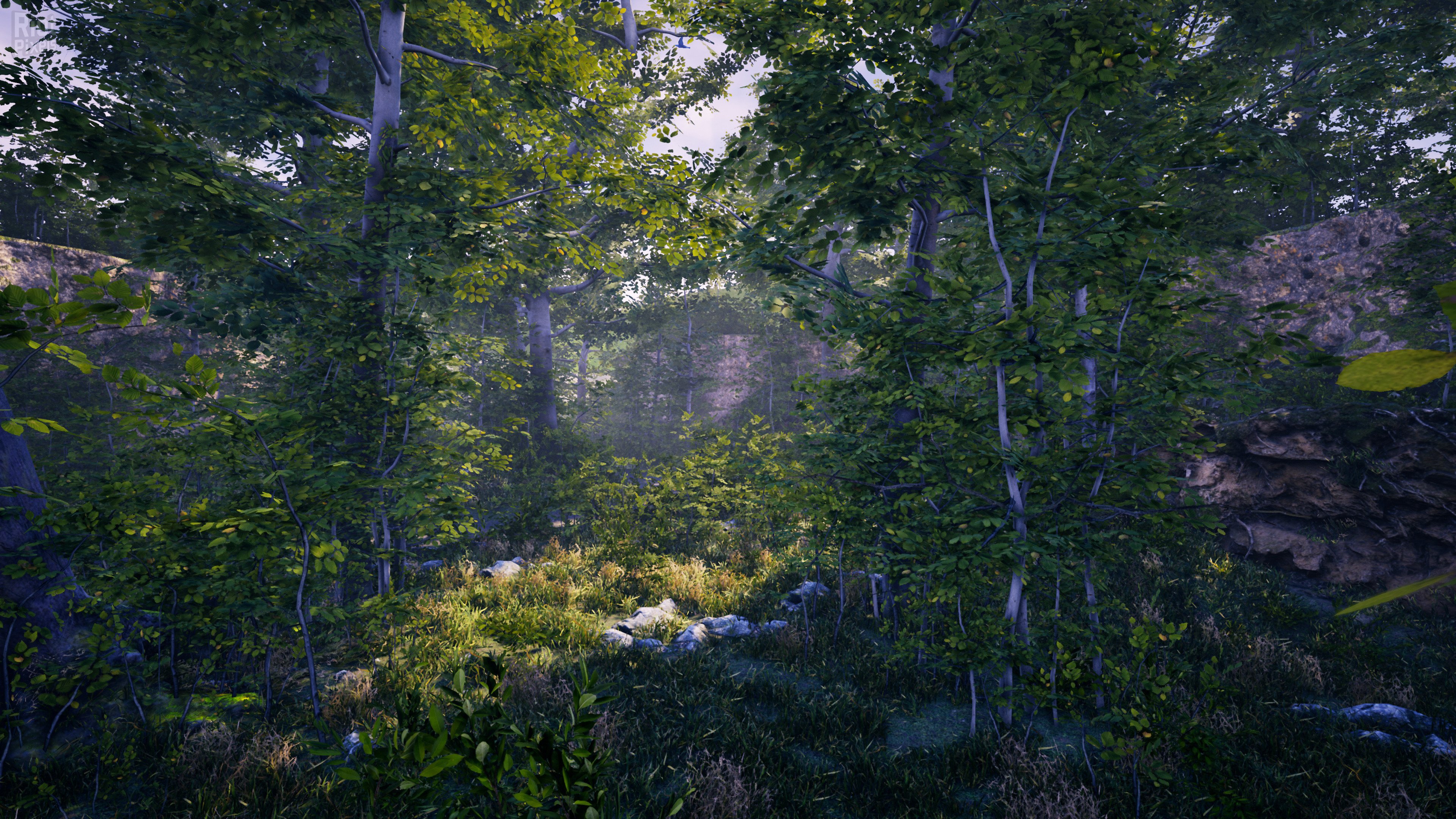 [6]-The Fabled Woods Download-HohohoGames