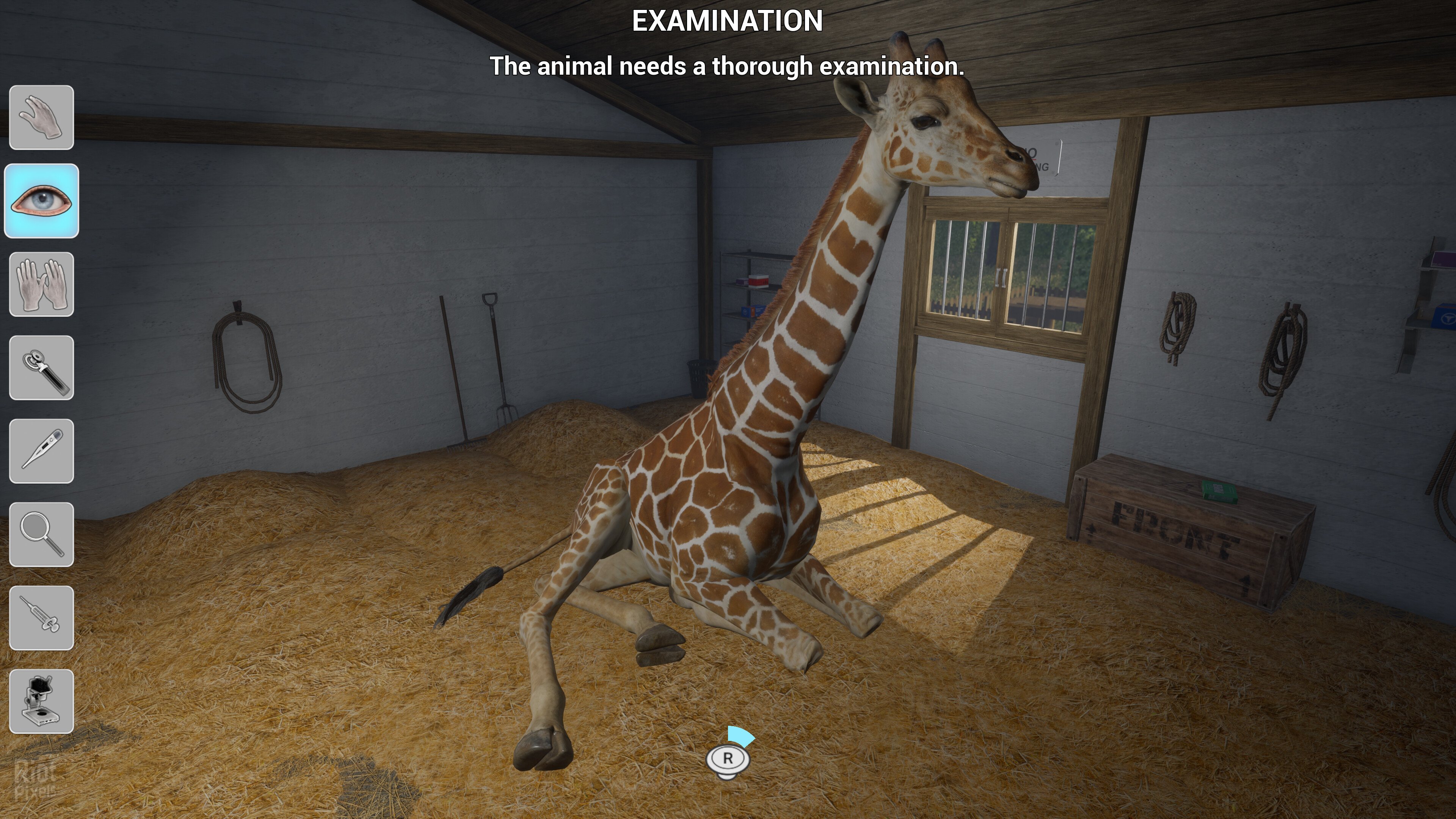 [8]-My Life: Zoo Vet – v1.2.0 Download-HohohoGames