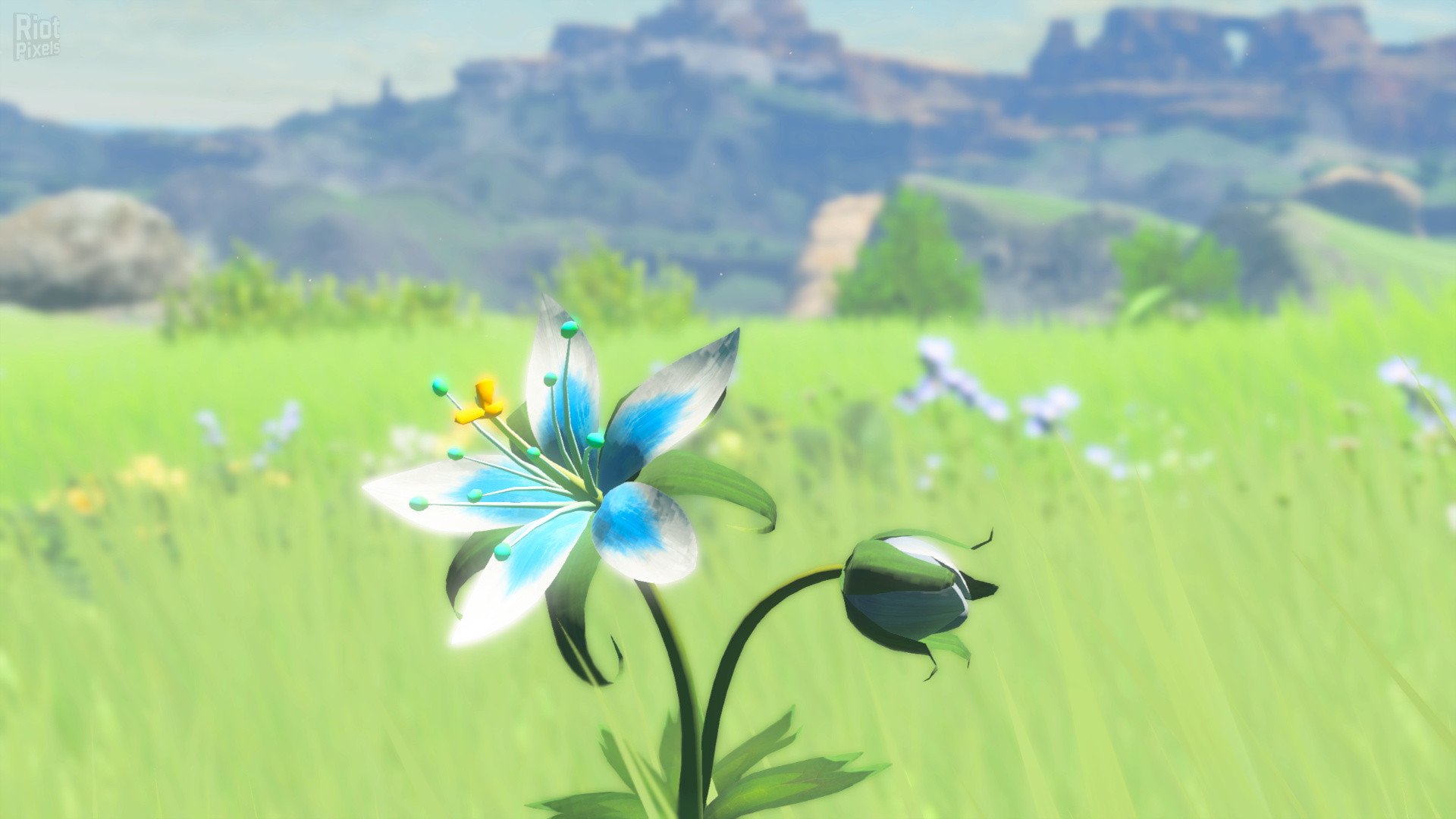 [5]-The Legend of Zelda: Breath of the Wild – v1.5.0/v208 + DLC 3.0 Pack + Cemu v1.22.7 Download-HohohoGames