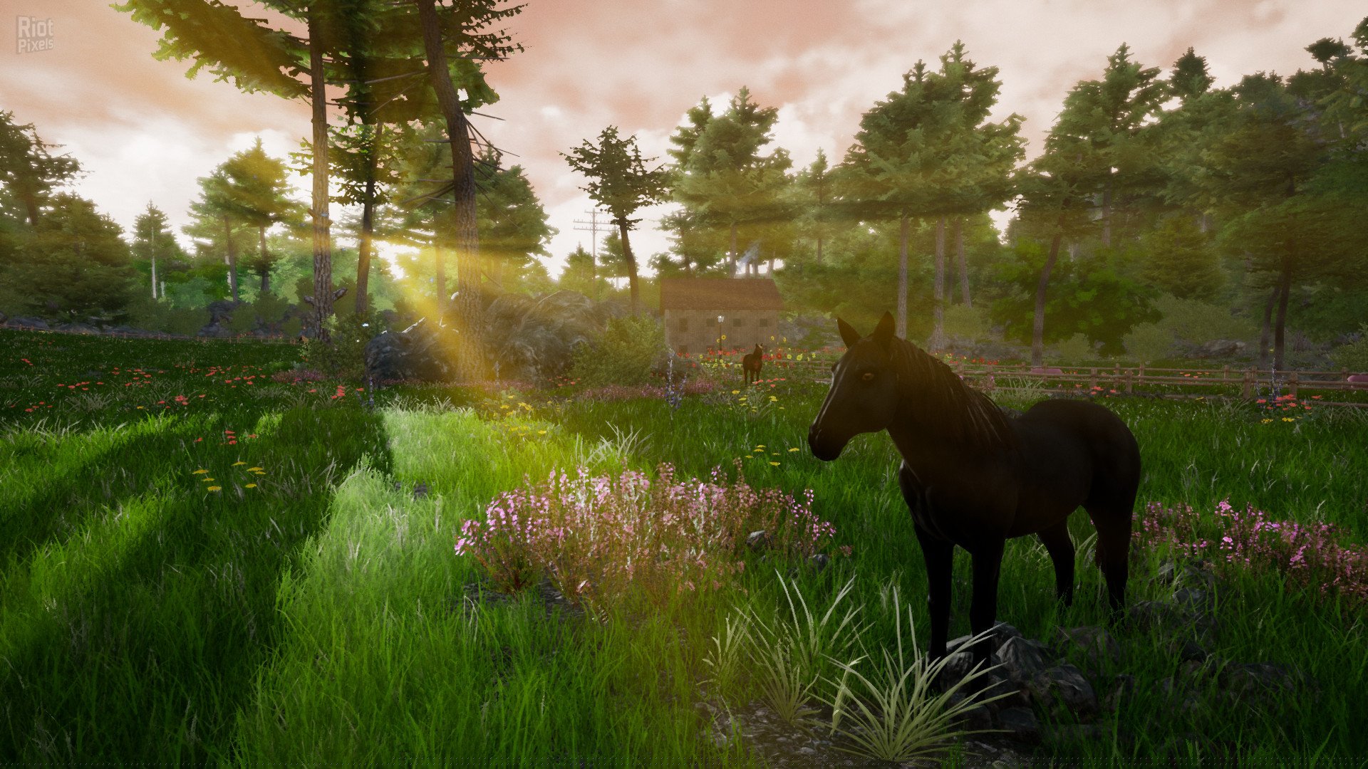 [6]-Horse Riding Deluxe 2 Download-HohohoGames