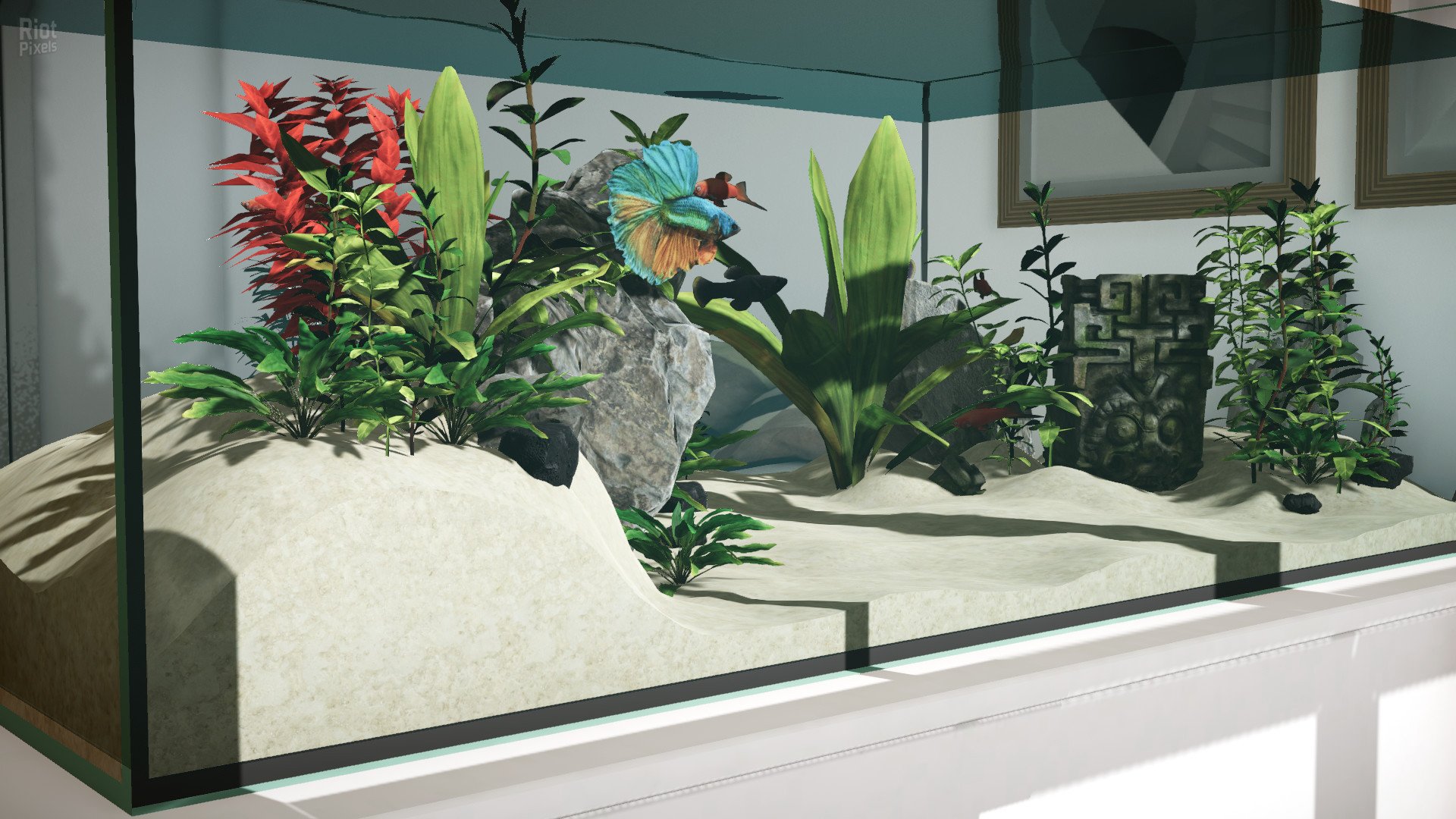 [4]-Aquarium Designer – Build 11514444 + 3 DLCs Download-HohohoGames