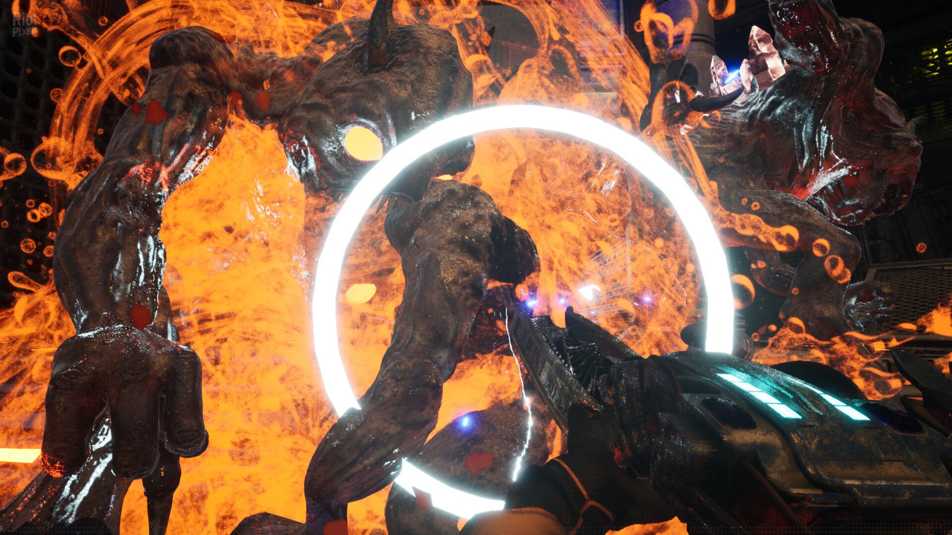 [10]-Exovoid Carnage + Windows 7 Fix Download-HohohoGames