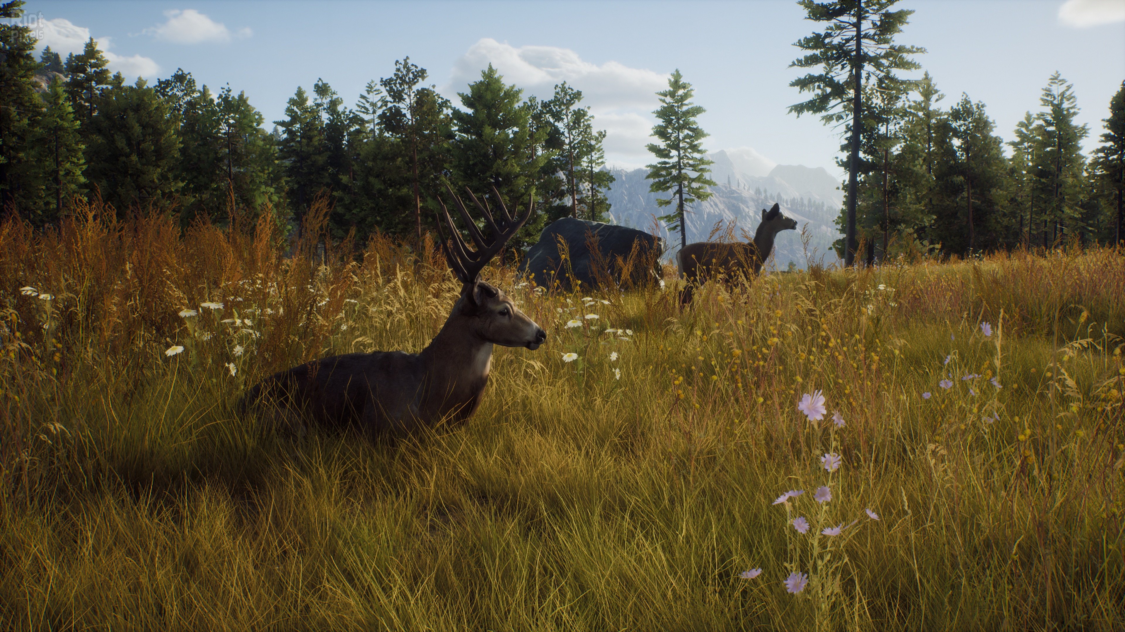 [6]-Way of the Hunter: Ultimate Edition – v1.6 + 10 DLCs + Windows 7 Fix Download-HohohoGames