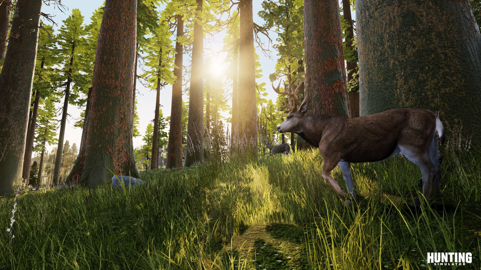 [16]-Hunting Simulator – v1.2 + DLC Download-HohohoGames