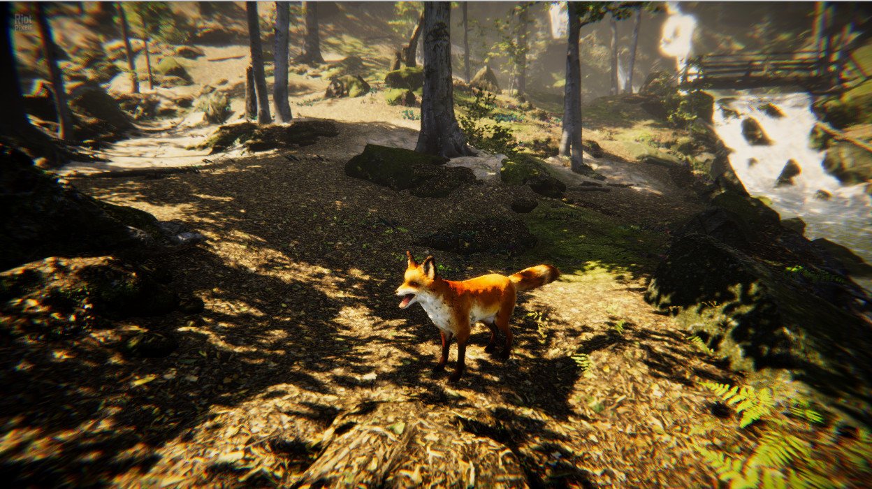 [10]-Animal Simulator Download-HohohoGames
