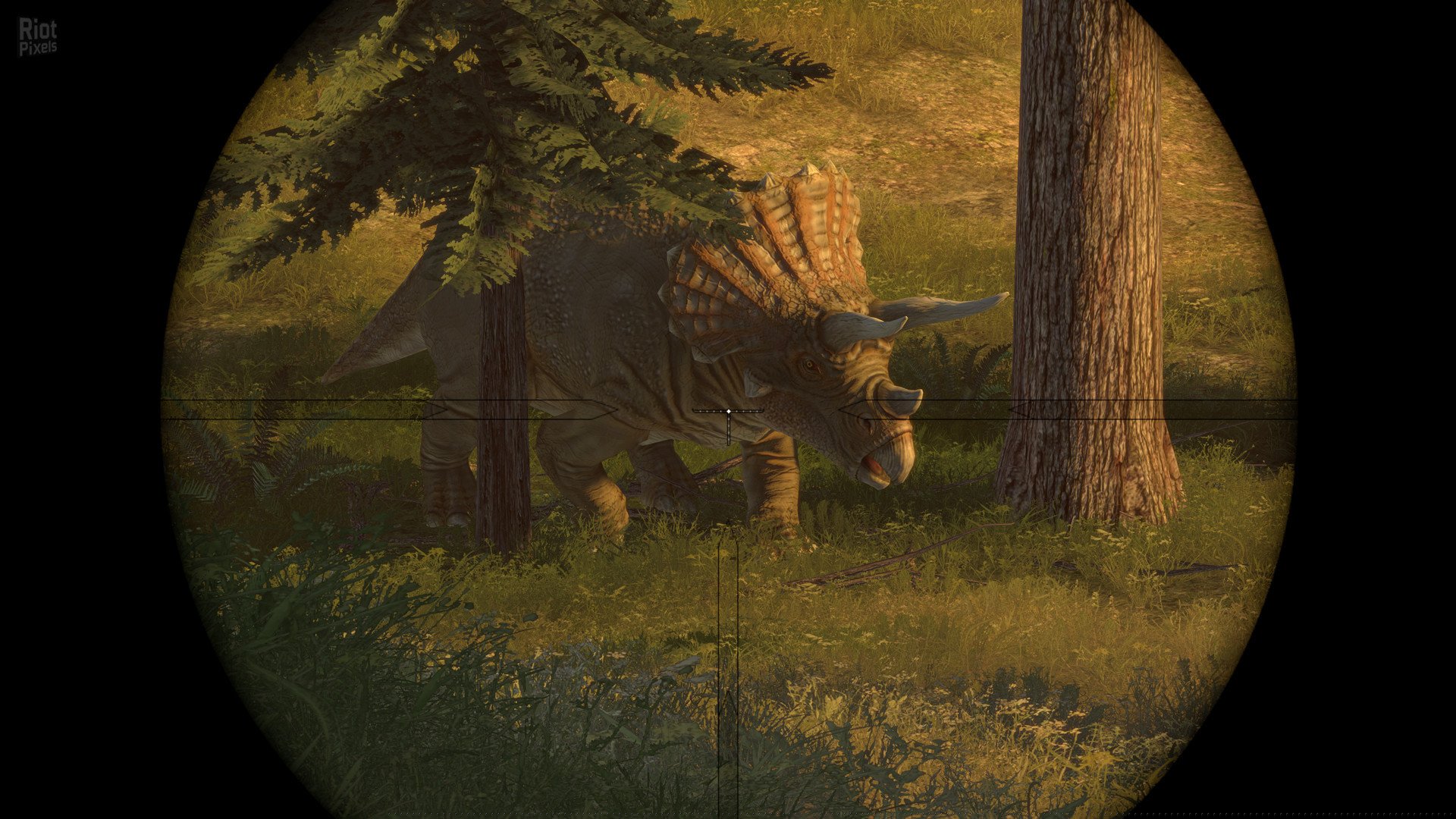 [11]-Carnivores: Dinosaur Hunt Download-HohohoGames