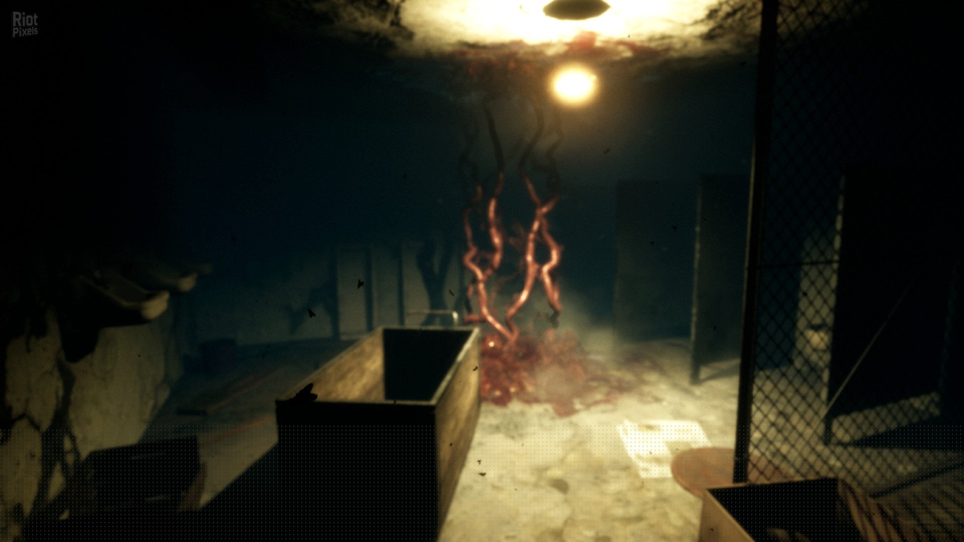 [5]-Nebraska Download-HohohoGames