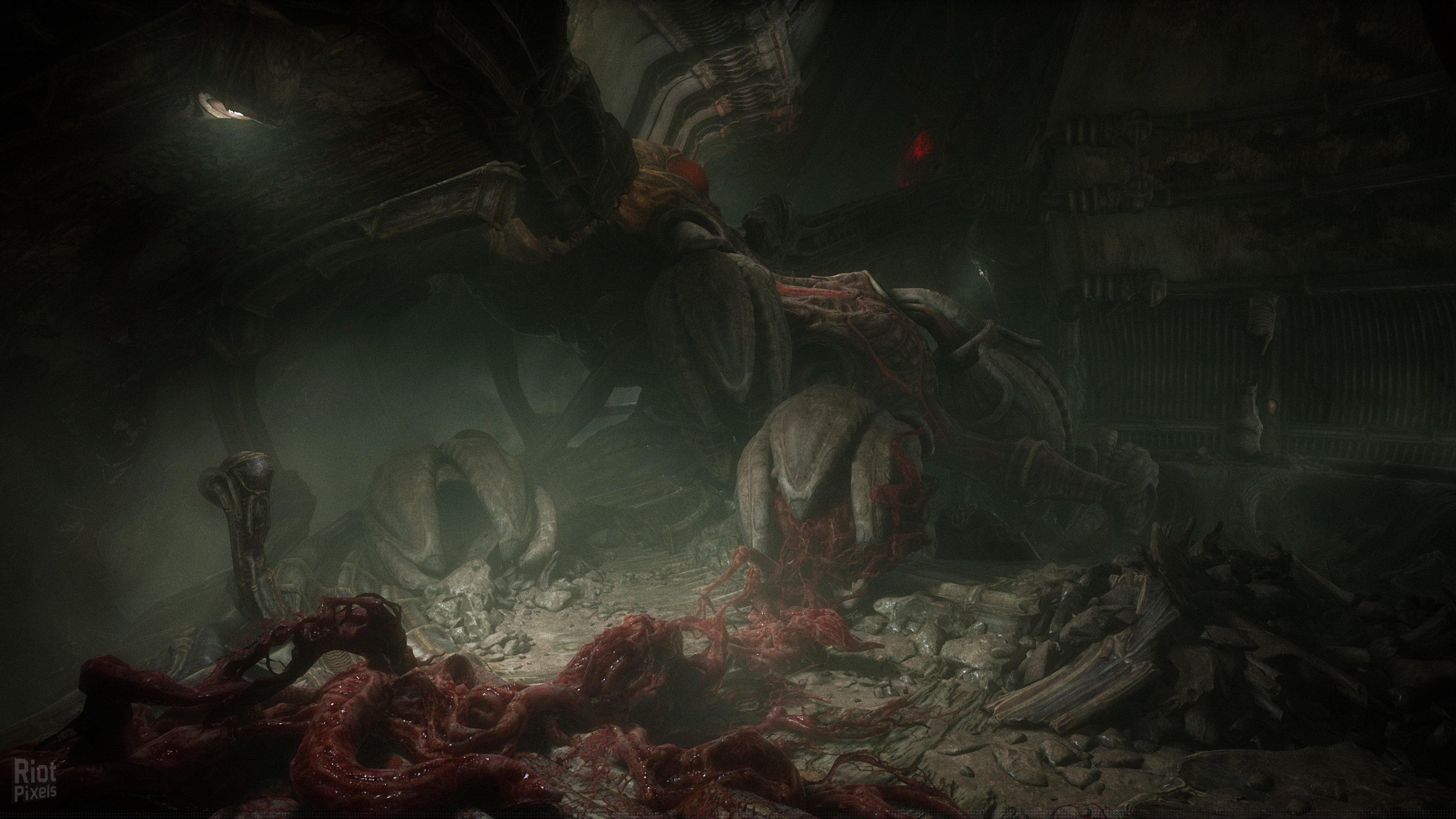 [8]-Scorn: Deluxe Edition, v1.2.2.0 + Bonus Content + Windows 7 Fix Download-HohohoGames