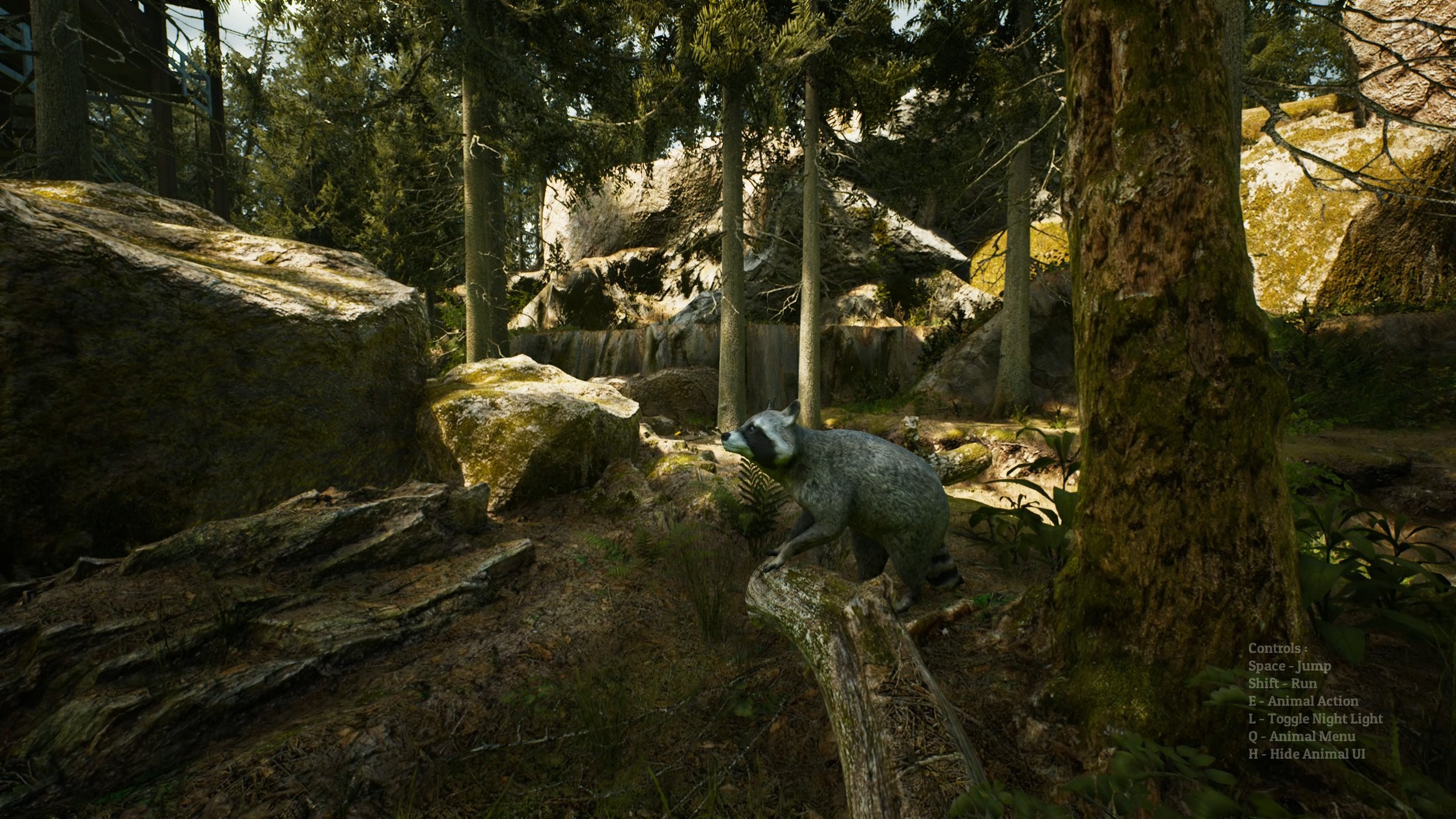 [16]-Morels: The Hunt Download-HohohoGames