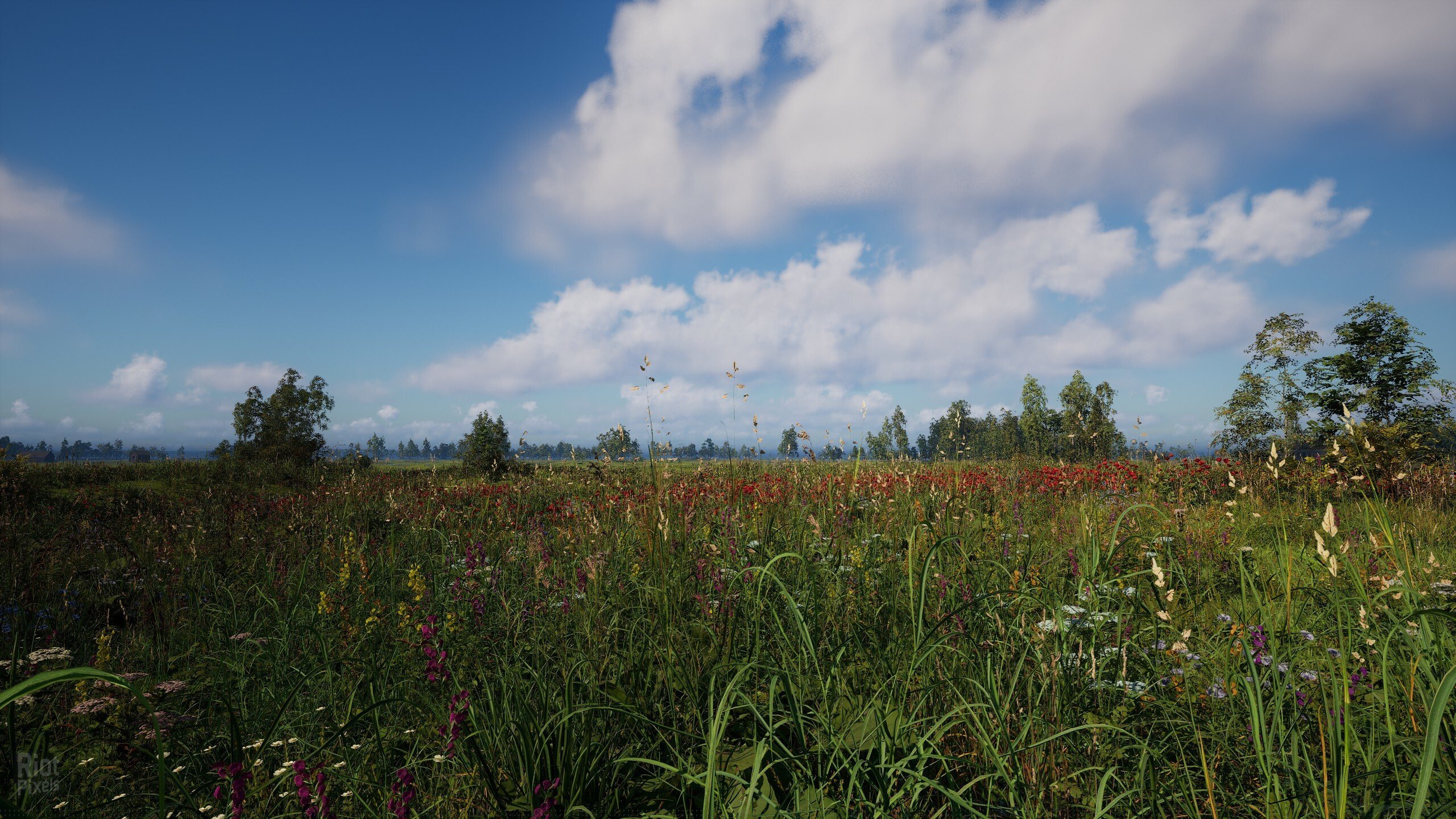 [7]-Russian Soul Simulator Download-HohohoGames