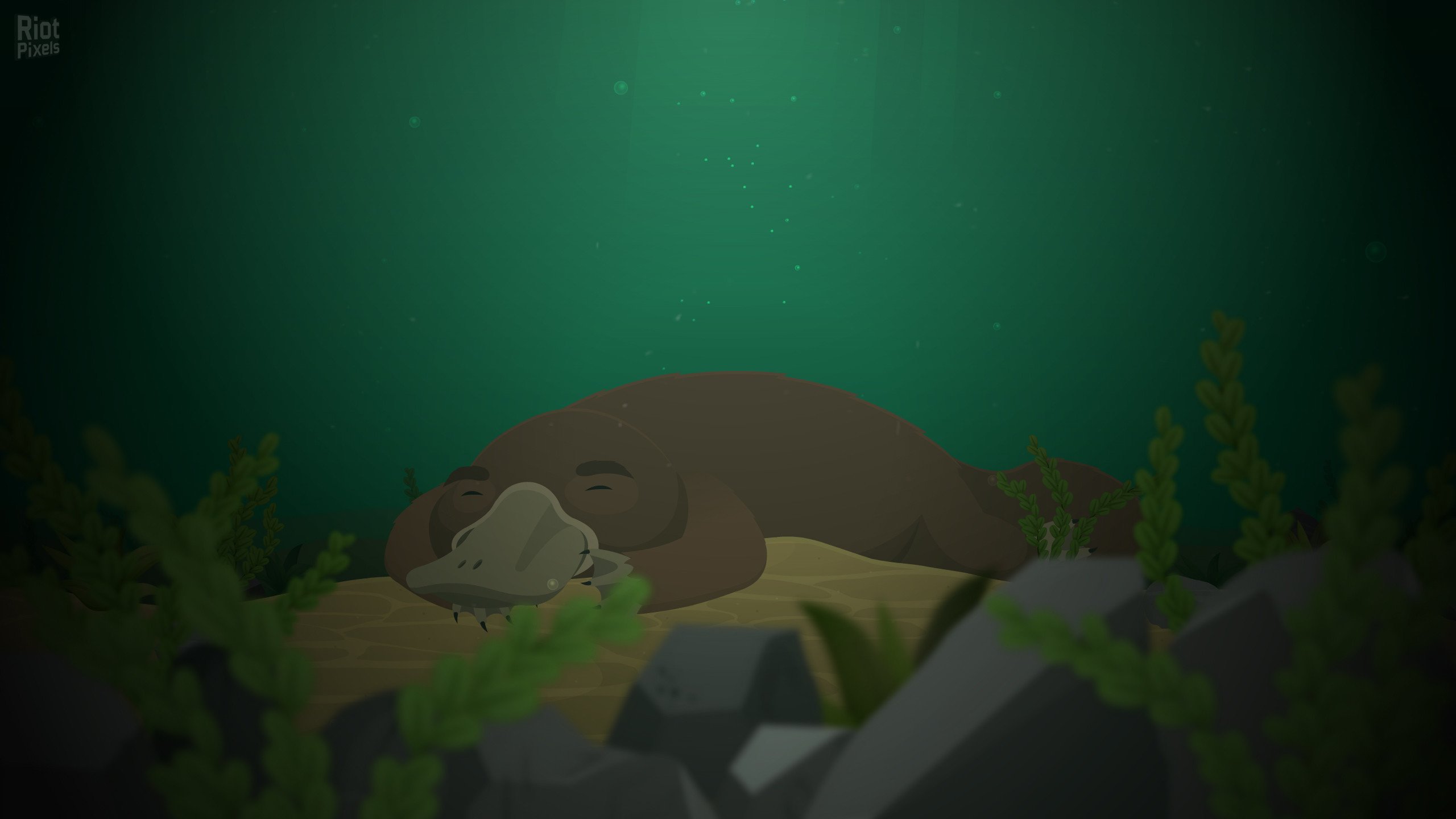 [10]-Repella Fella: Pirate Edition Download-HohohoGames