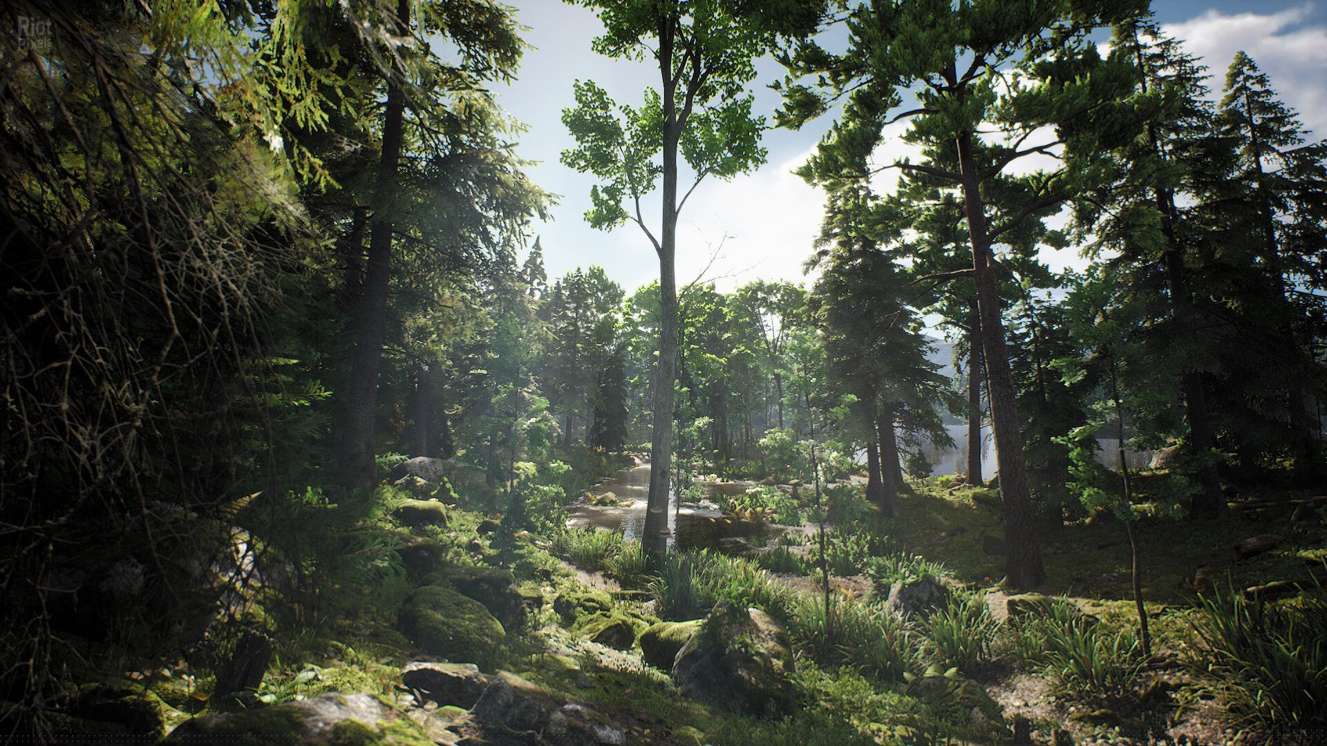[10]-Project Hunt Download-HohohoGames