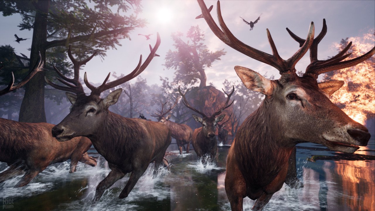 [10]-AWAY: The Survival Series + Windows 7 Fix Download-HohohoGames