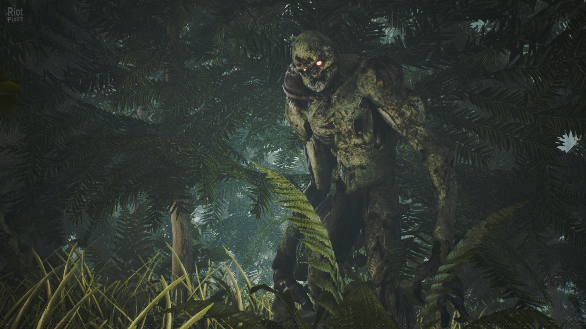 [3]-Raw Footage Download-HohohoGames