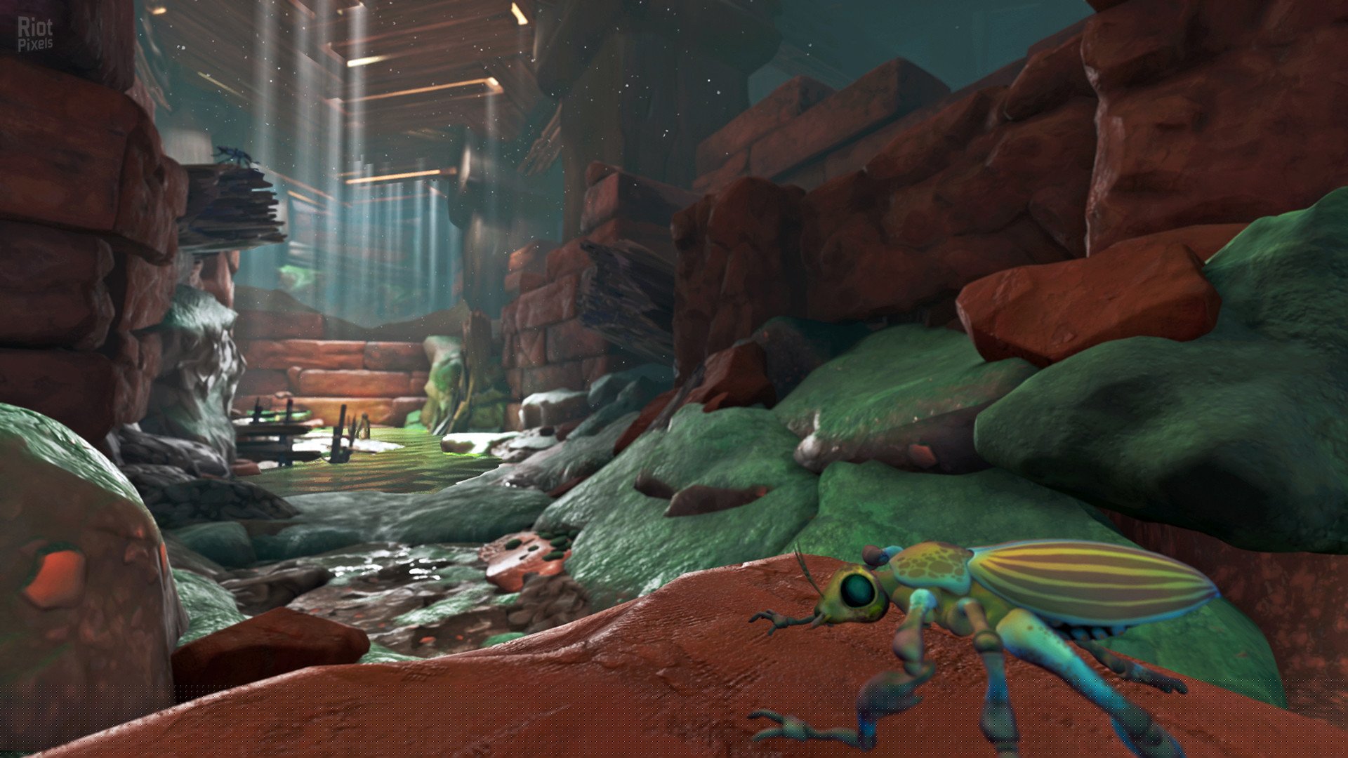 [7]-Metamorphosis Download-HohohoGames