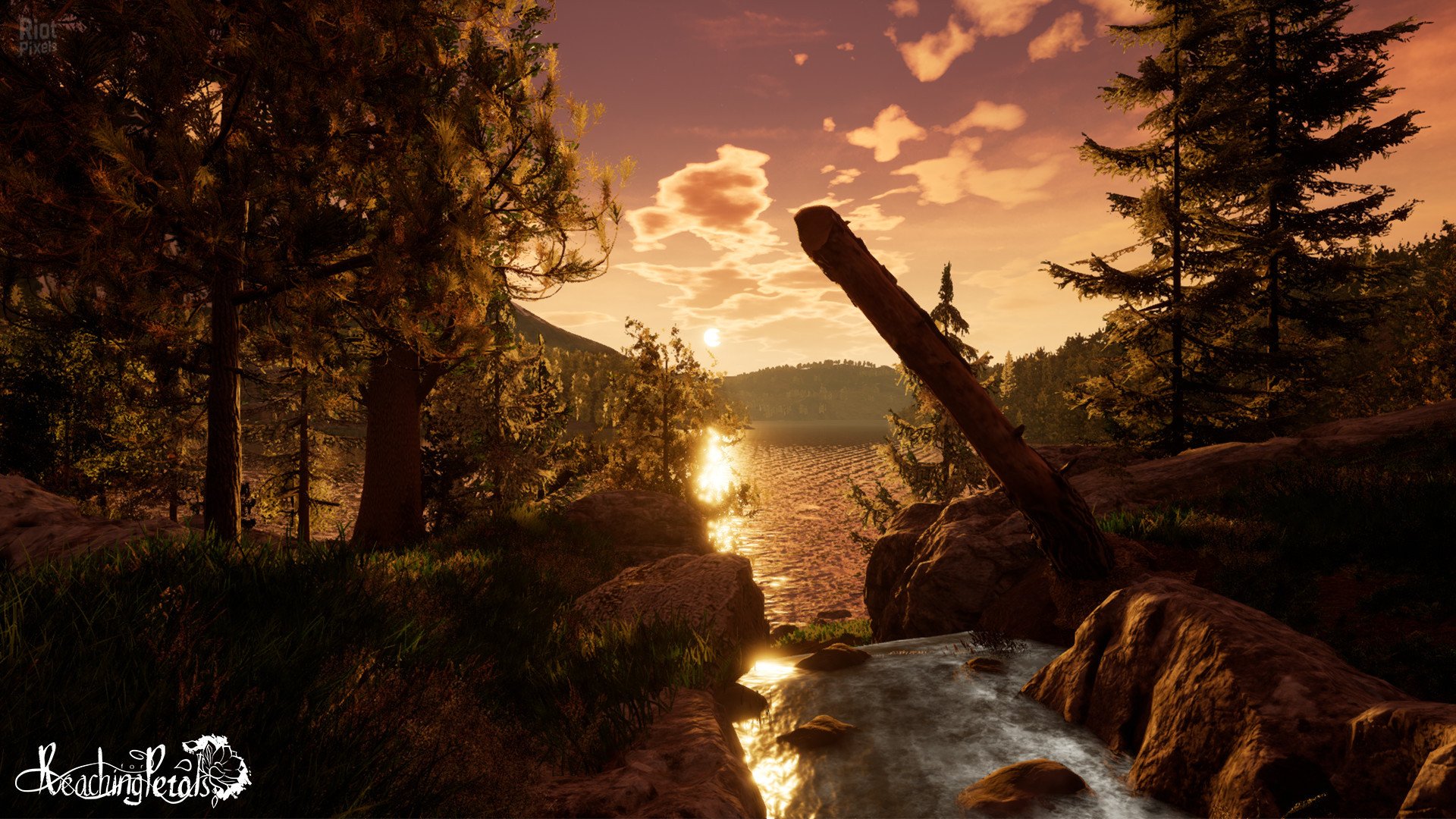 [8]-Reaching for Petals Download-HohohoGames