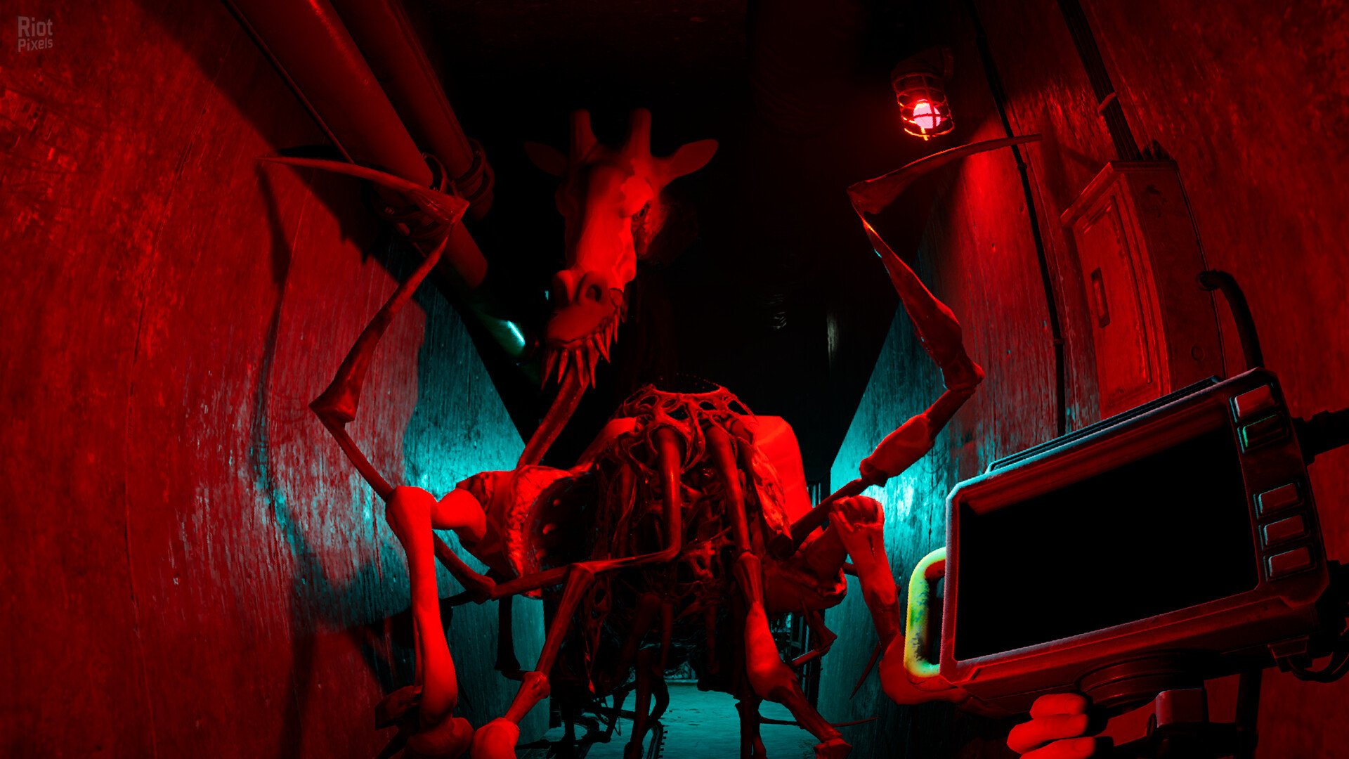 [13]-Zoochosis – v1.6.3 + Windows 7 Fix Download-HohohoGames