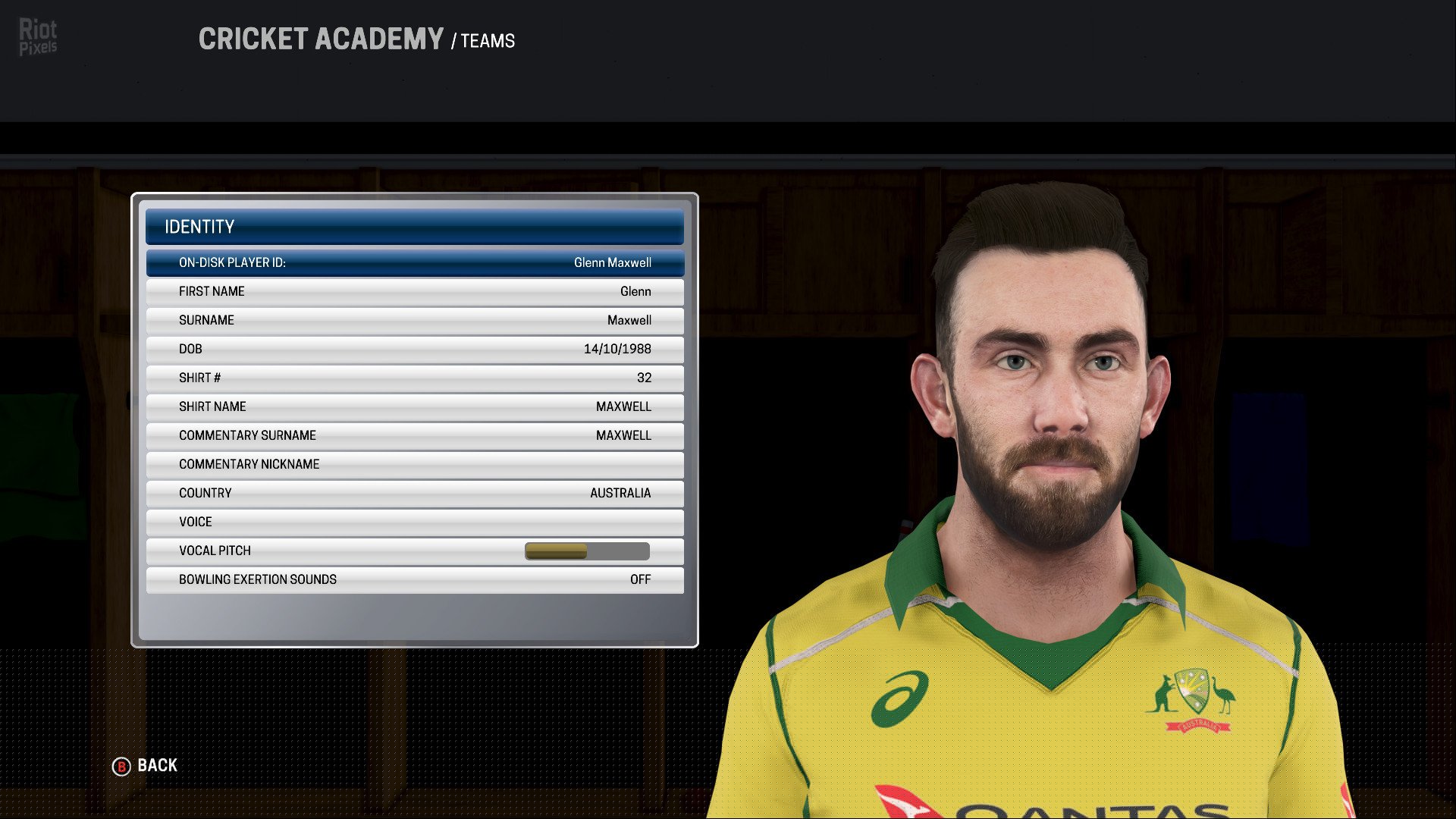 Ashes Cricket – v1.0548 Download-HohohoGames