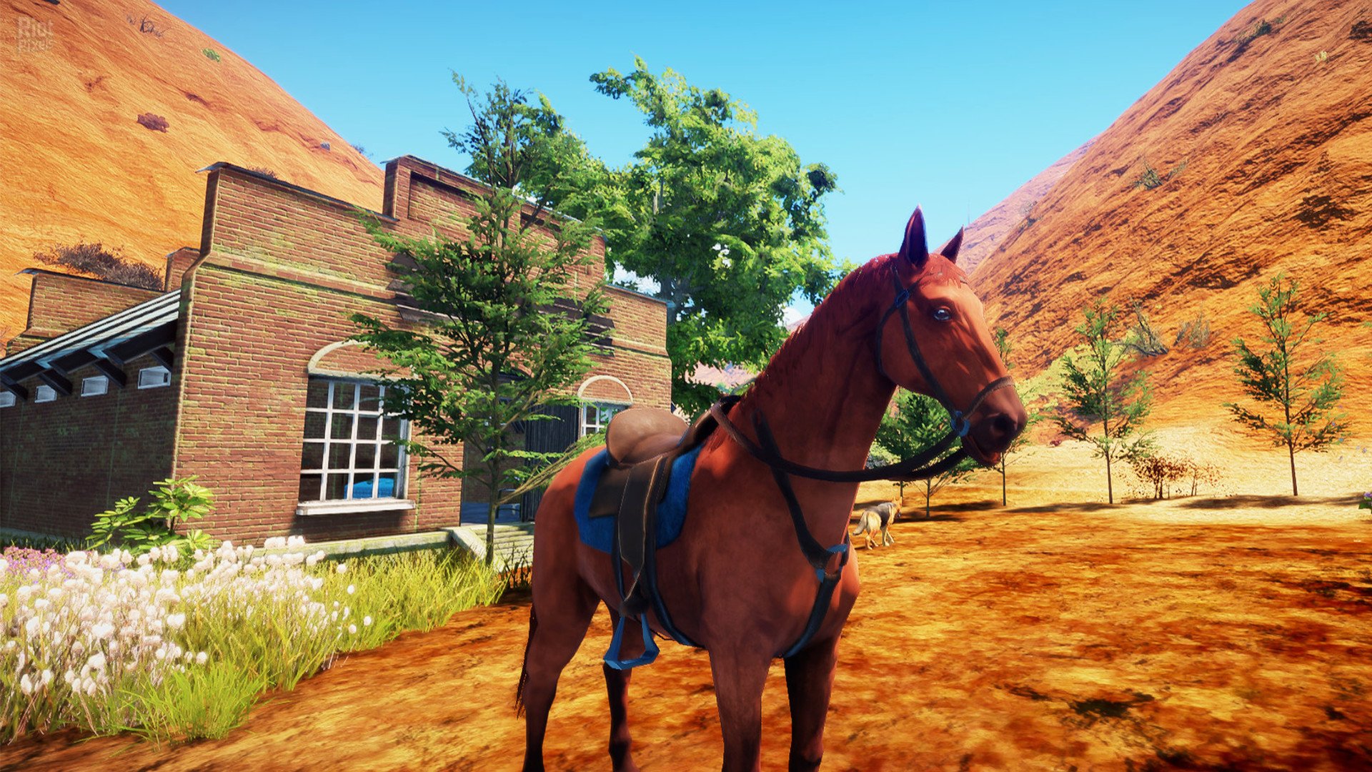 [13]-Animallica Download-HohohoGames