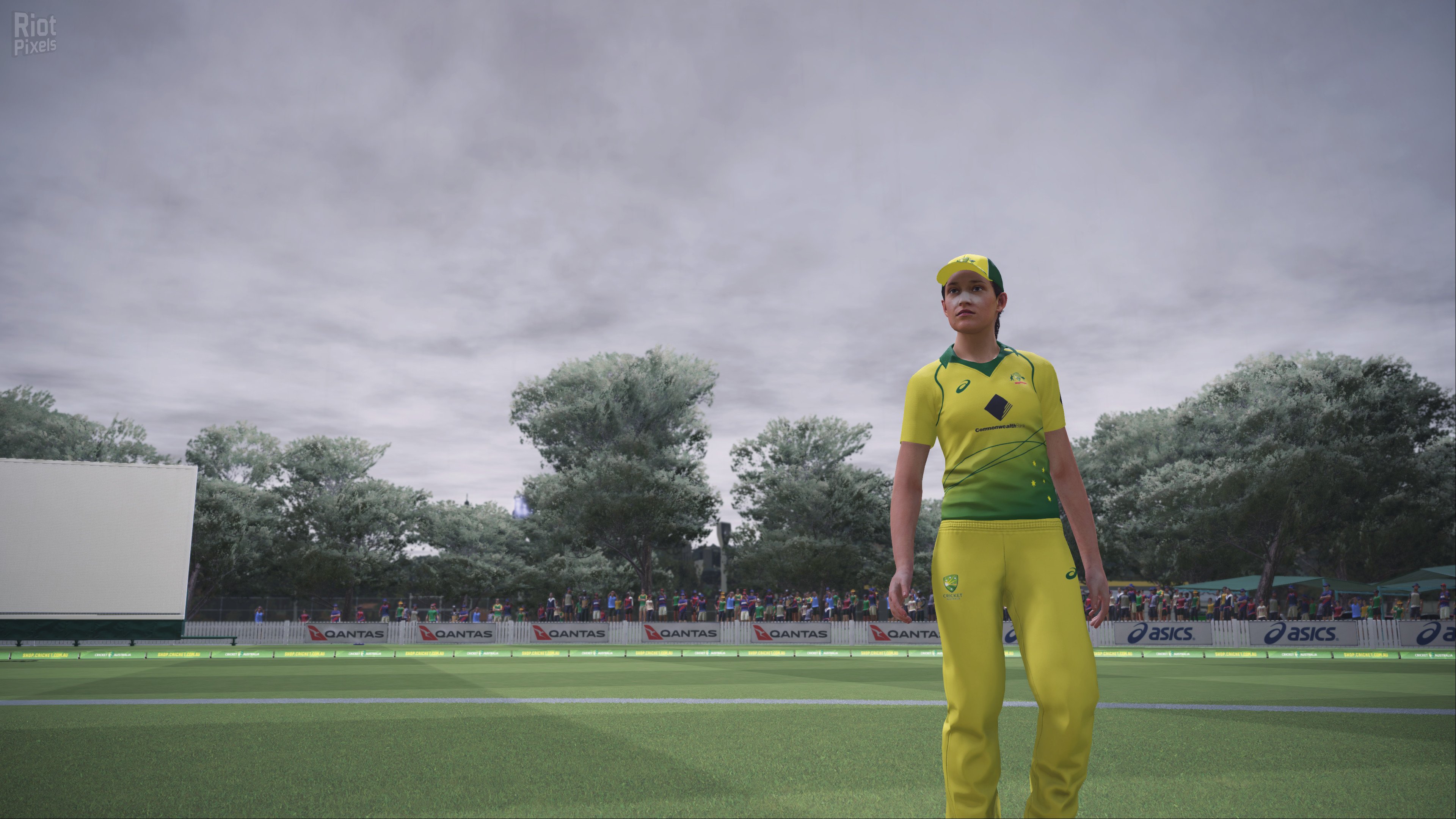 [3]-Ashes Cricket – v1.0548 Download-HohohoGames