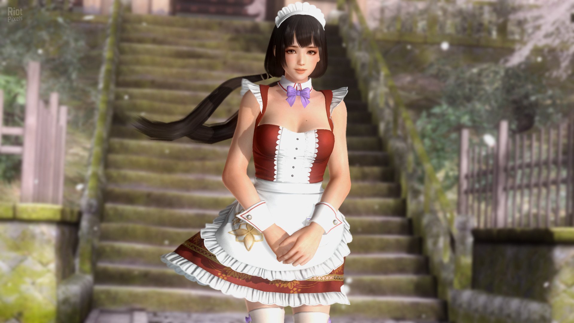 [2]-Dead or Alive 5: Last Round – v1.10C + All DLCs + Unlocker Download-HohohoGames