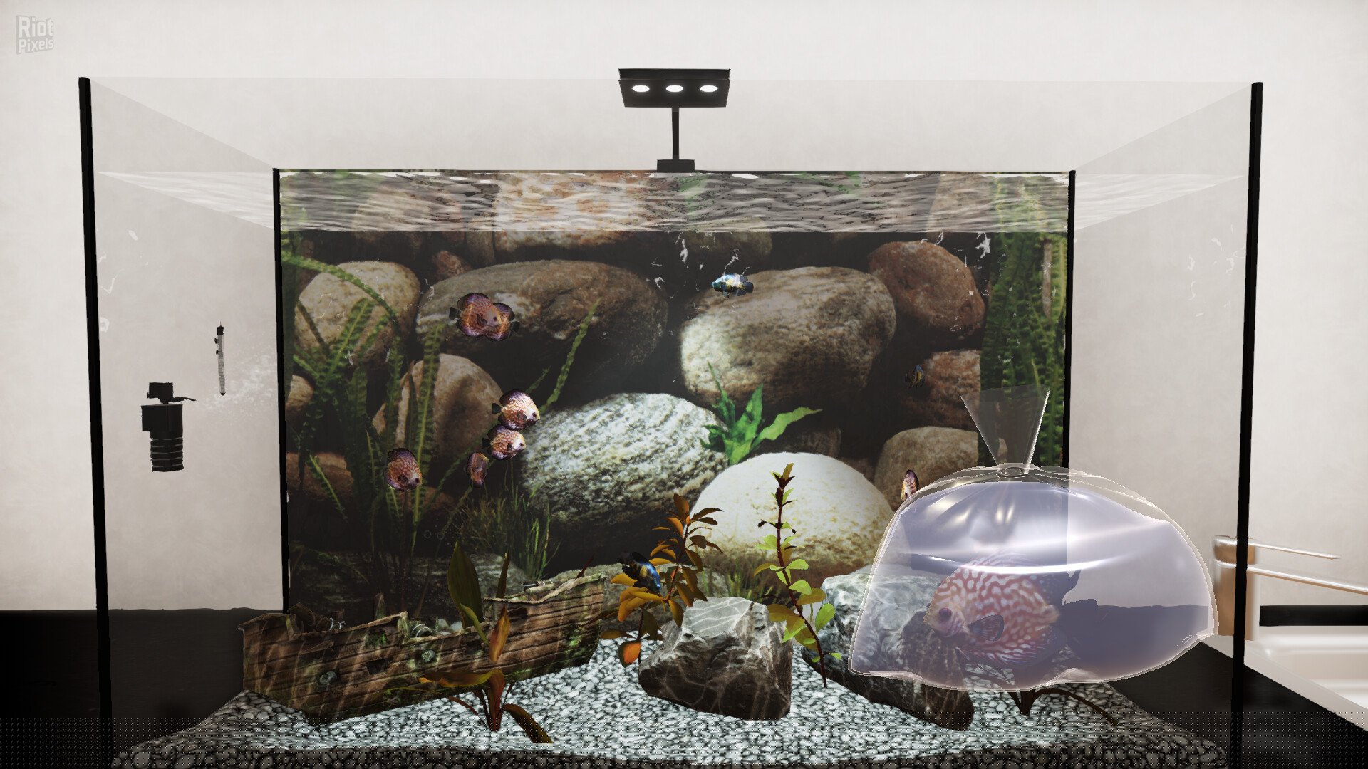 [10]-Aquatic Store Simulator Download-HohohoGames