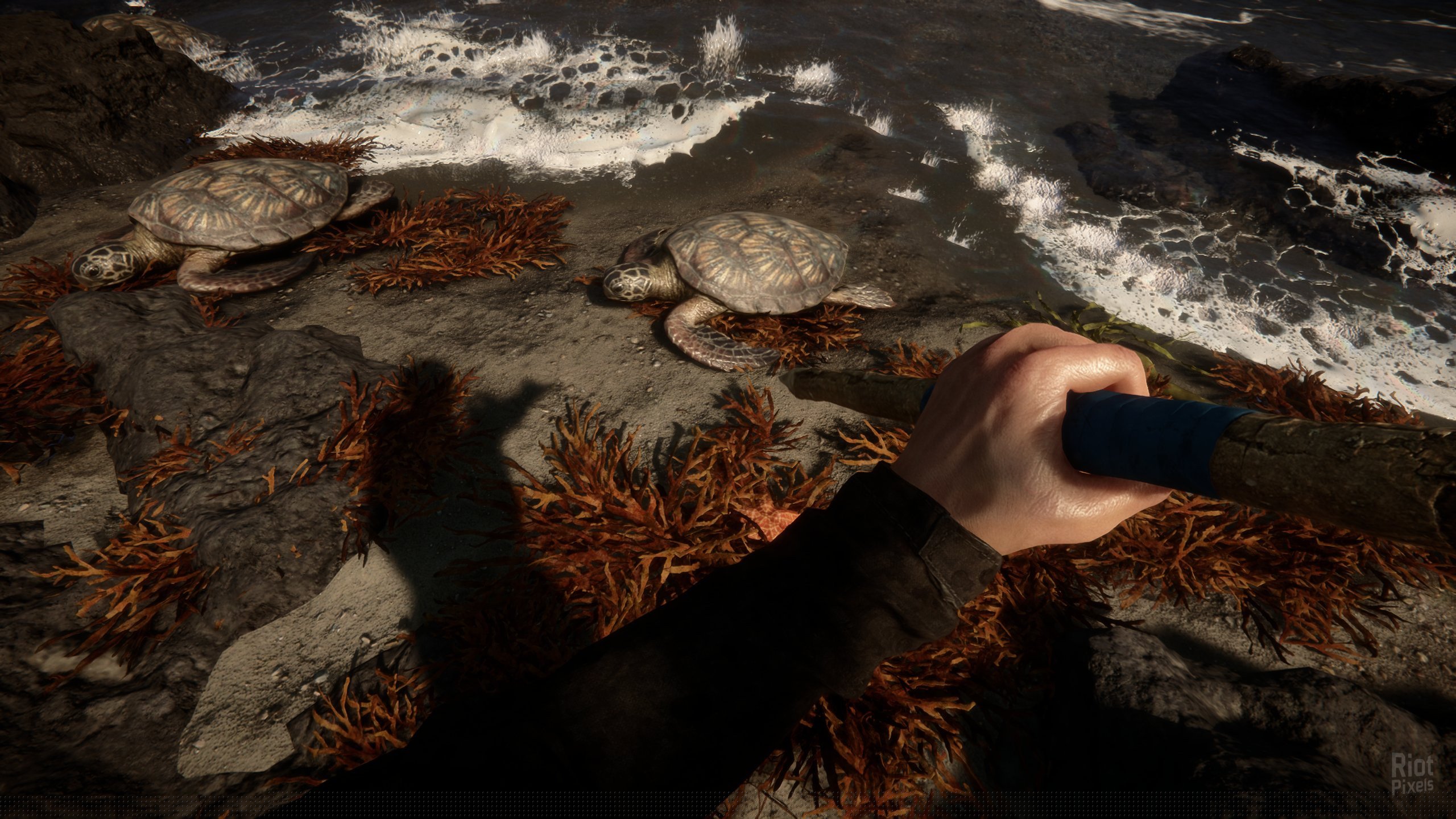[12]-Sons of the Forest – v48738 + Multiplayer Download-HohohoGames