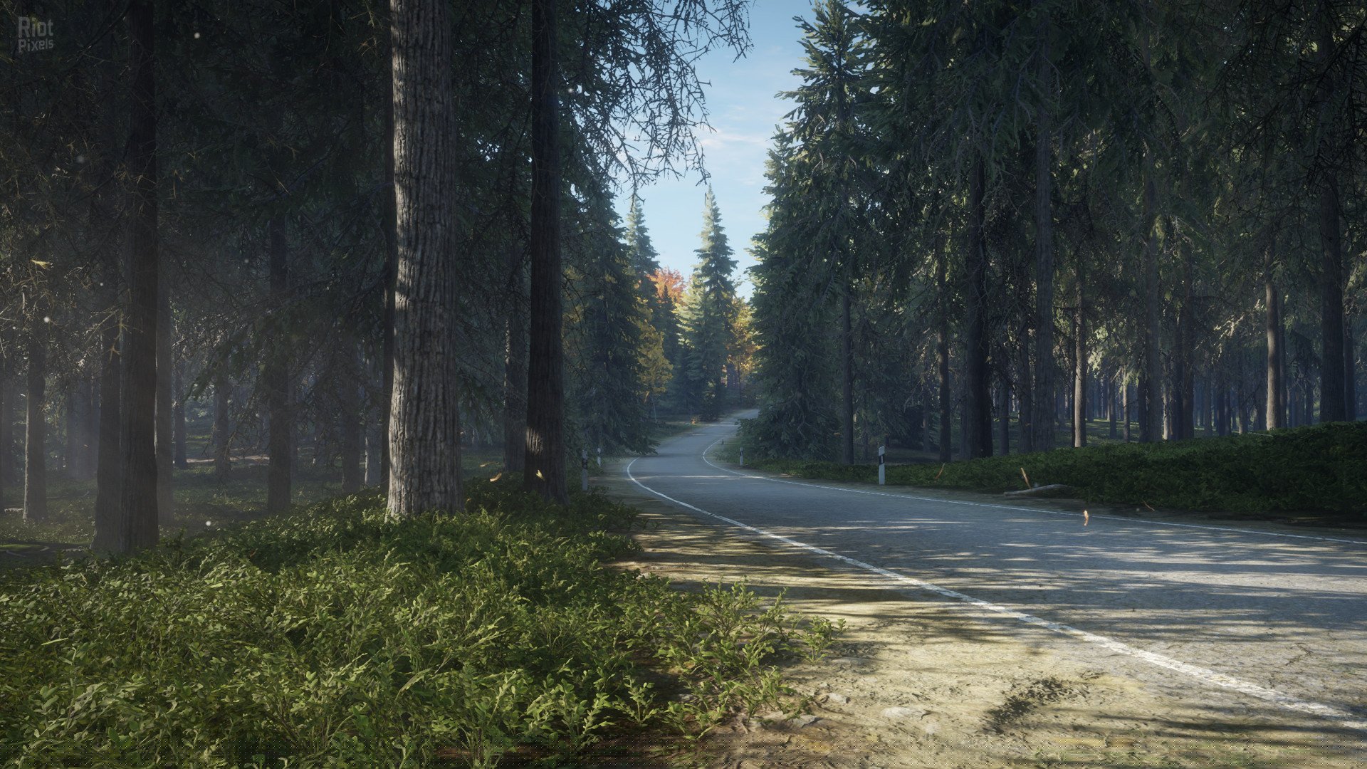 [8]-theHunter: Call of the Wild – Complete Collection – v2891297 + 64 DLCs Download-HohohoGames