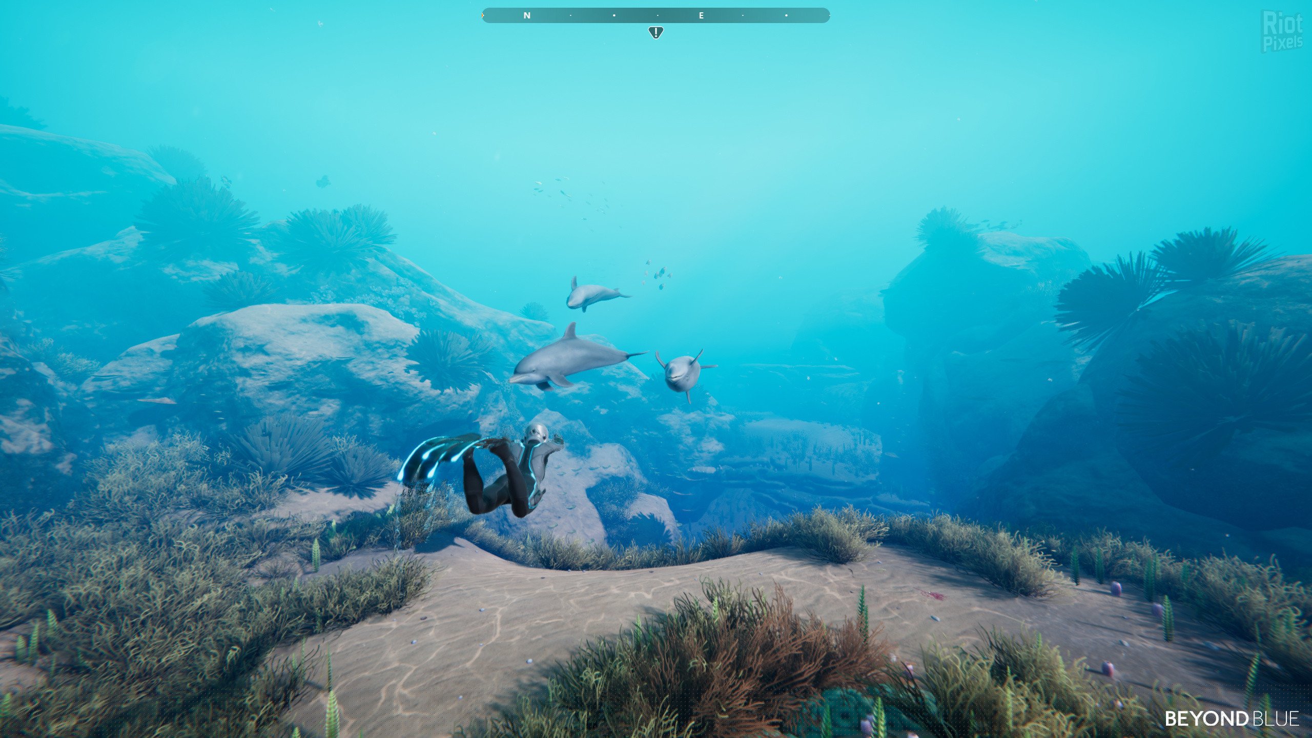 [3]-Beyond Blue – v1.7.17798 Download-HohohoGames