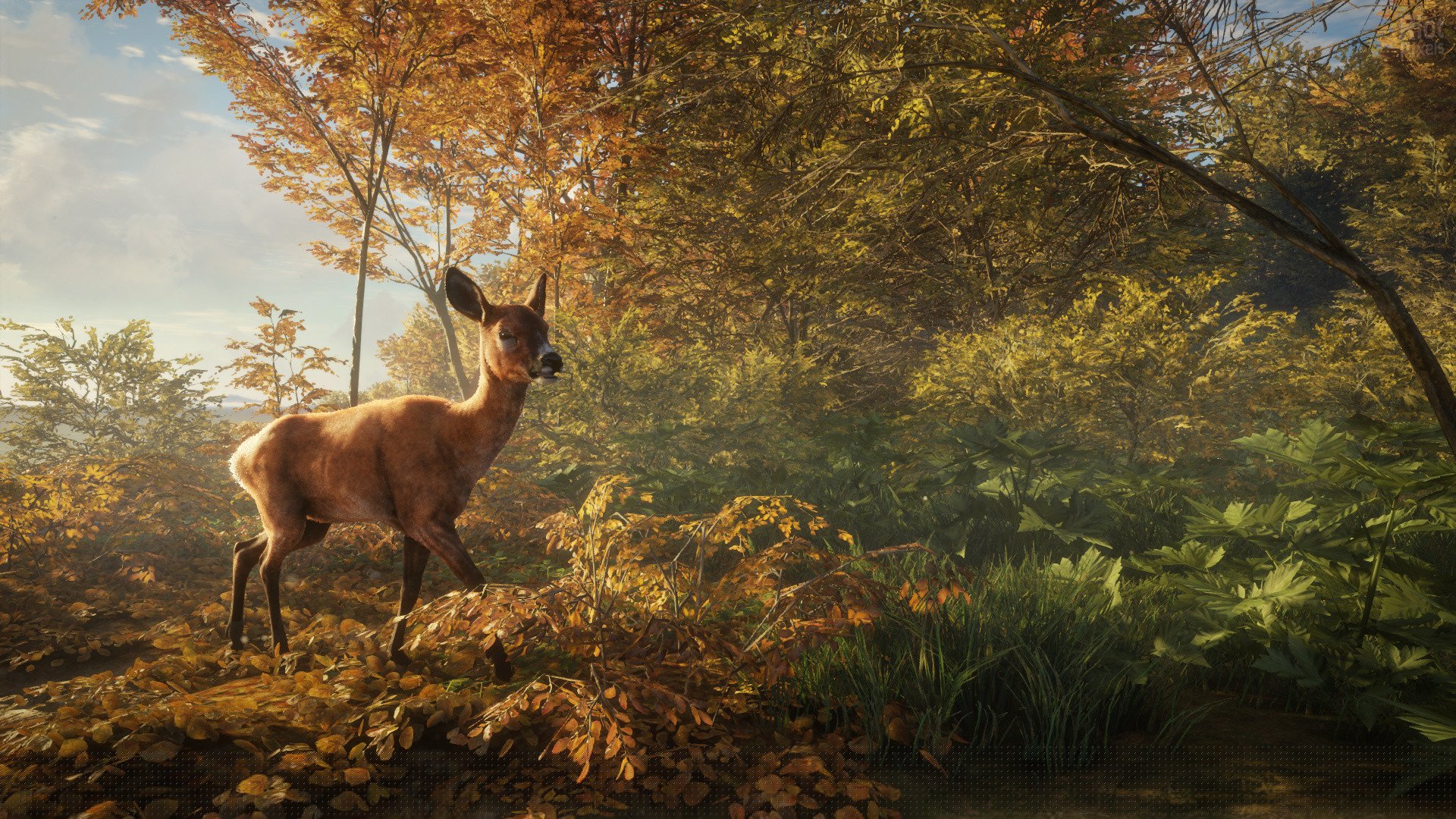 [6]-theHunter: Call of the Wild – Complete Collection – v2891297 + 64 DLCs Download-HohohoGames