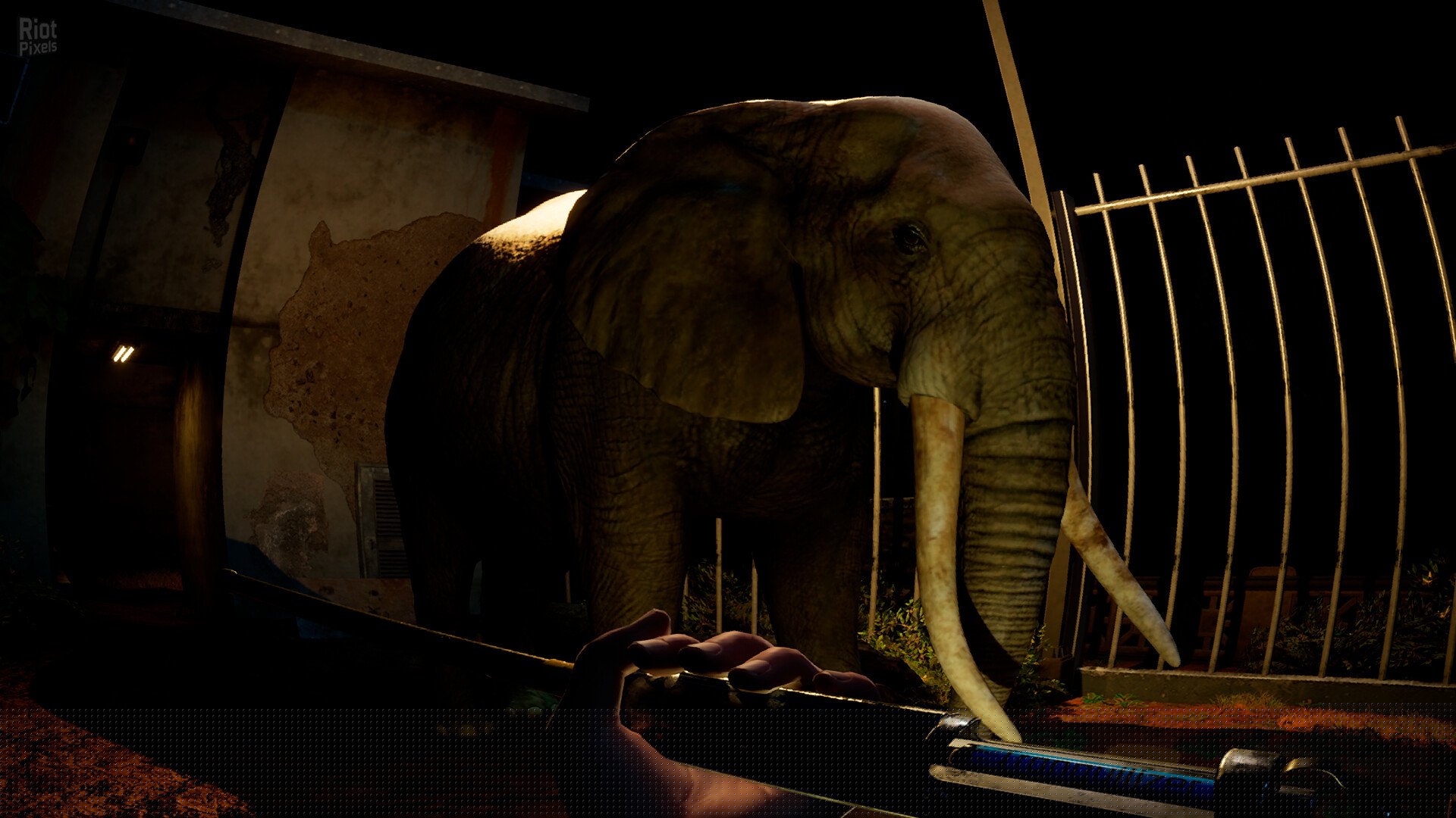 [10]-Zoochosis – v1.6.3 + Windows 7 Fix Download-HohohoGames