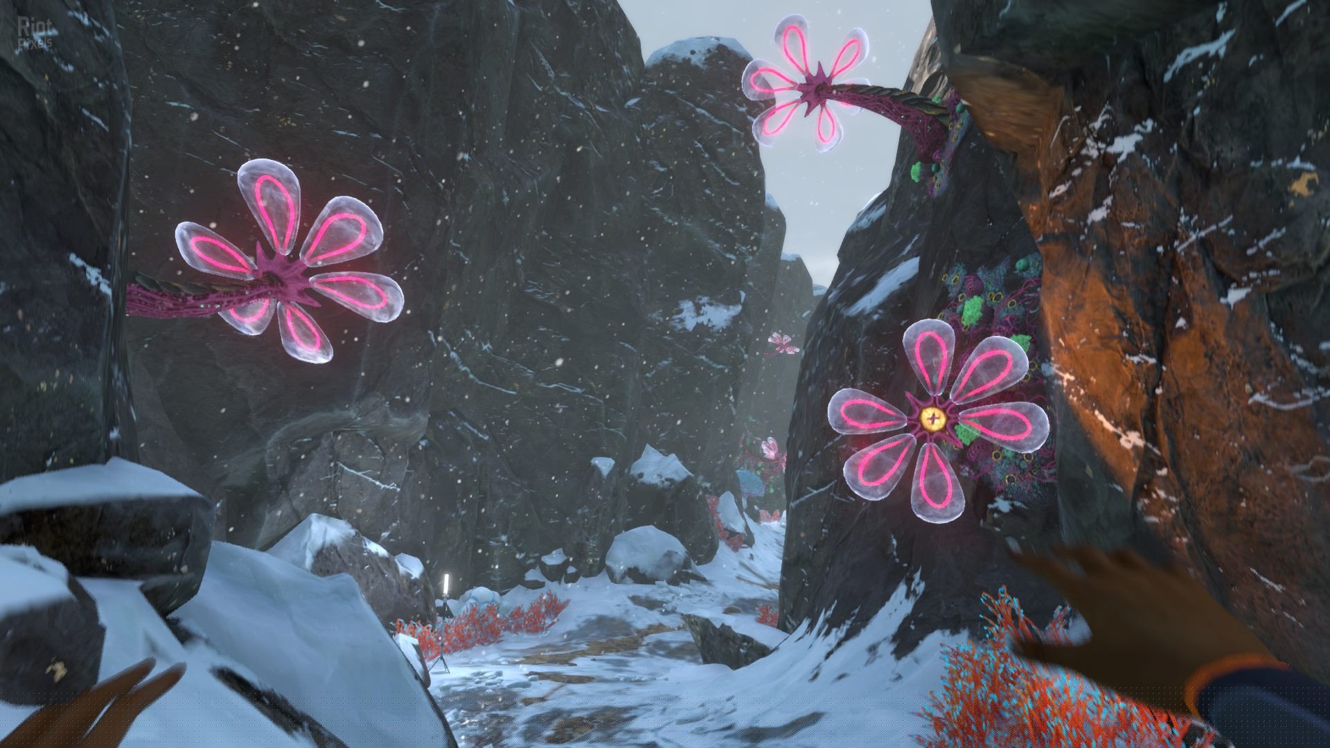 [5]-Subnautica: Below Zero – v1.0 Build 44290 Download-HohohoGames