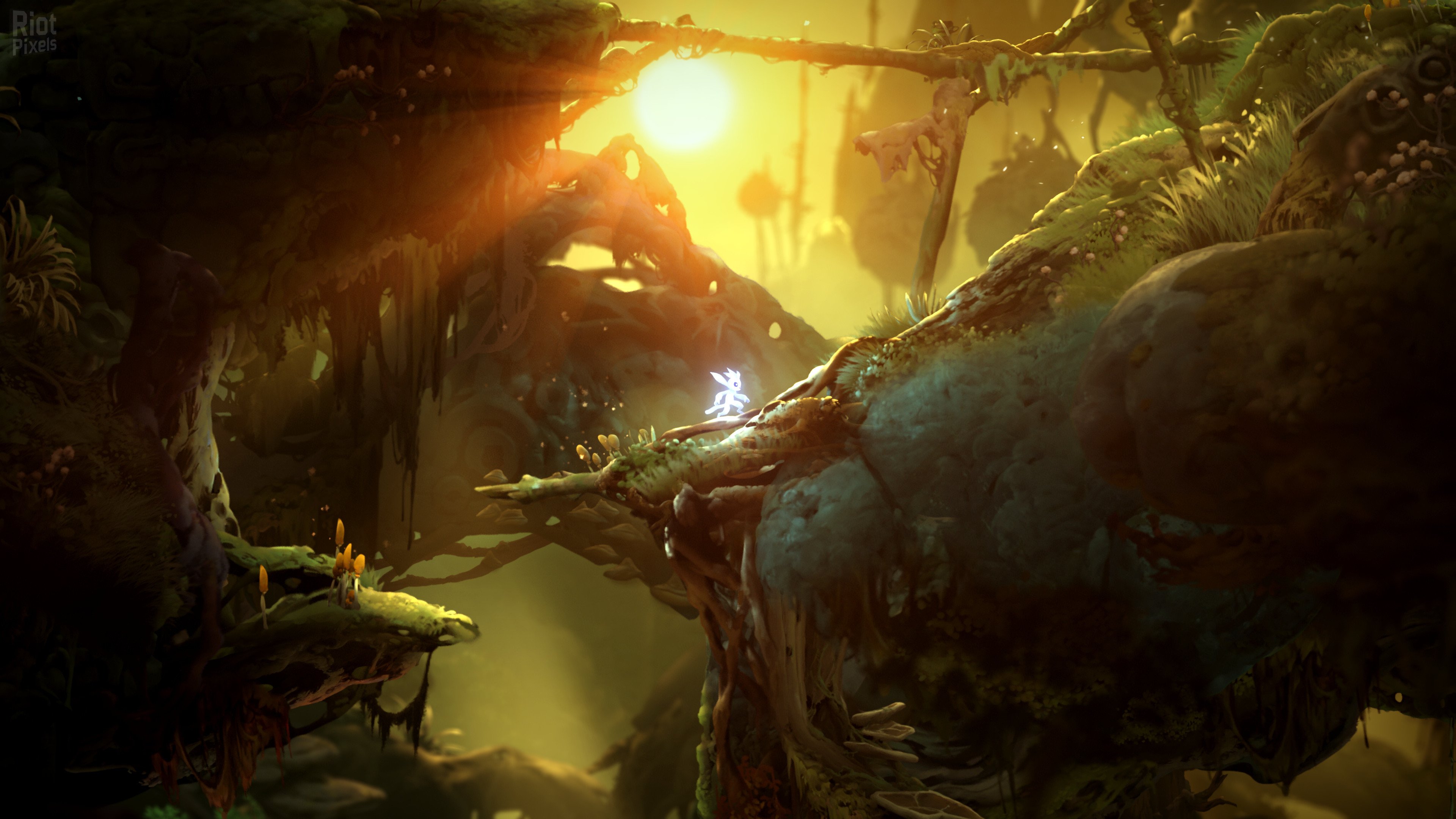 [5]-Ori and the Will of the Wisps Download-HohohoGames