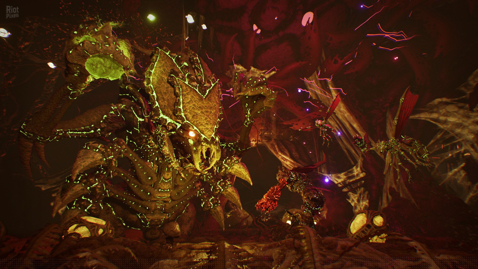 [16]-Arboria – v1.0.0.1055 Download-HohohoGames
