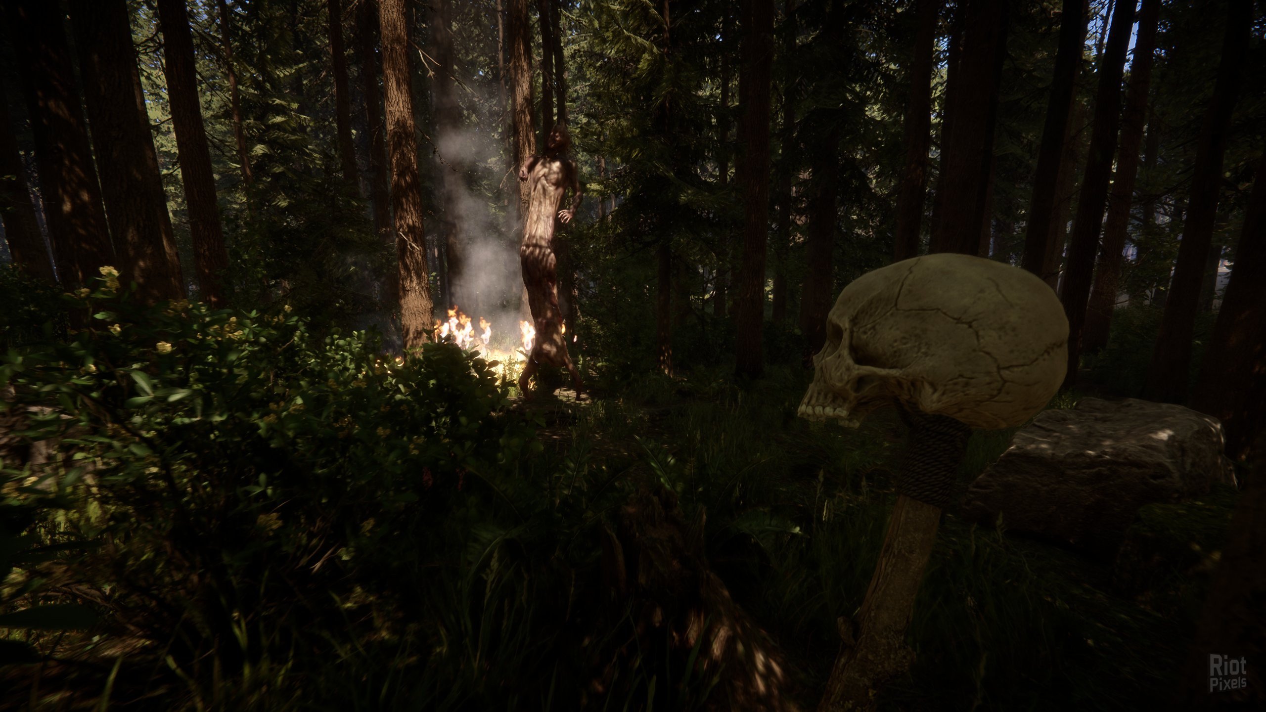 [10]-Sons of the Forest – v48738 + Multiplayer Download-HohohoGames