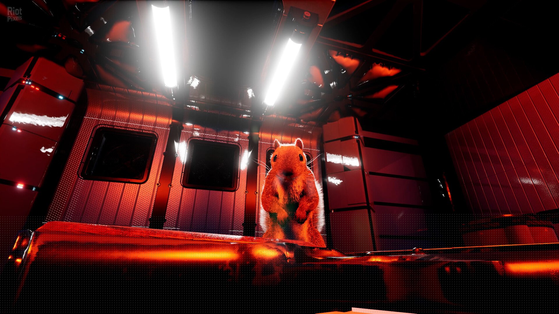 [8]-Squirrel with a Gun – v1.5.10.0 Download-HohohoGames