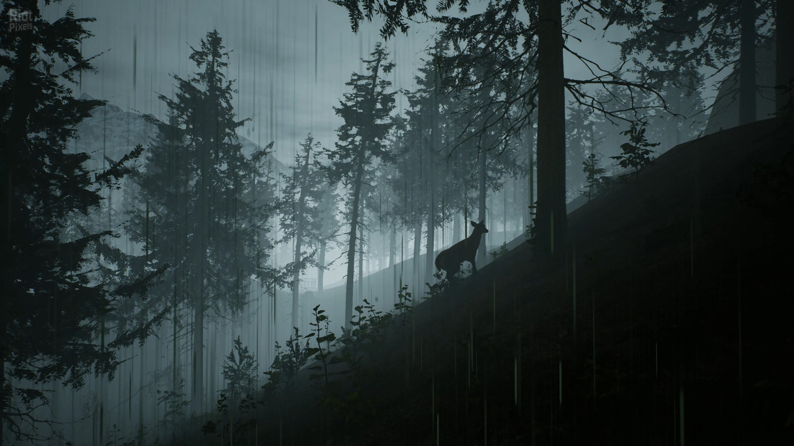 [14]-Morels: The Hunt Download-HohohoGames