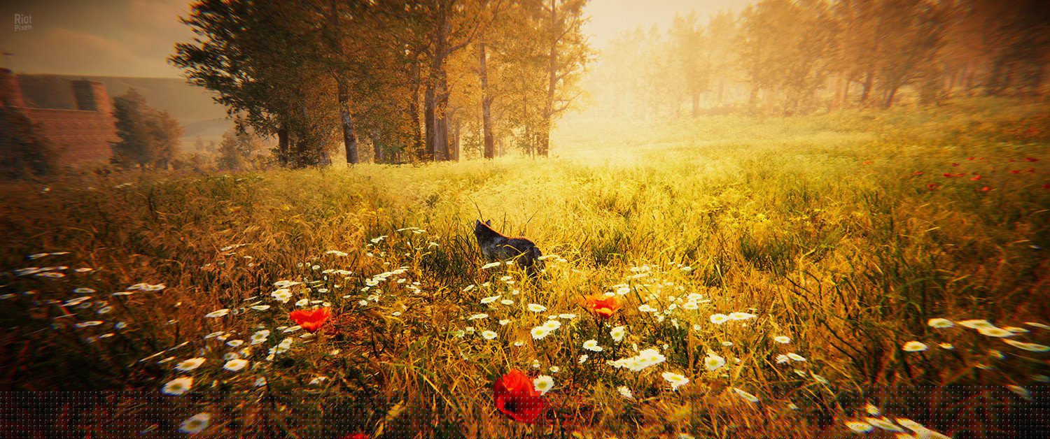 [7]-Animal Simulator Download-HohohoGames