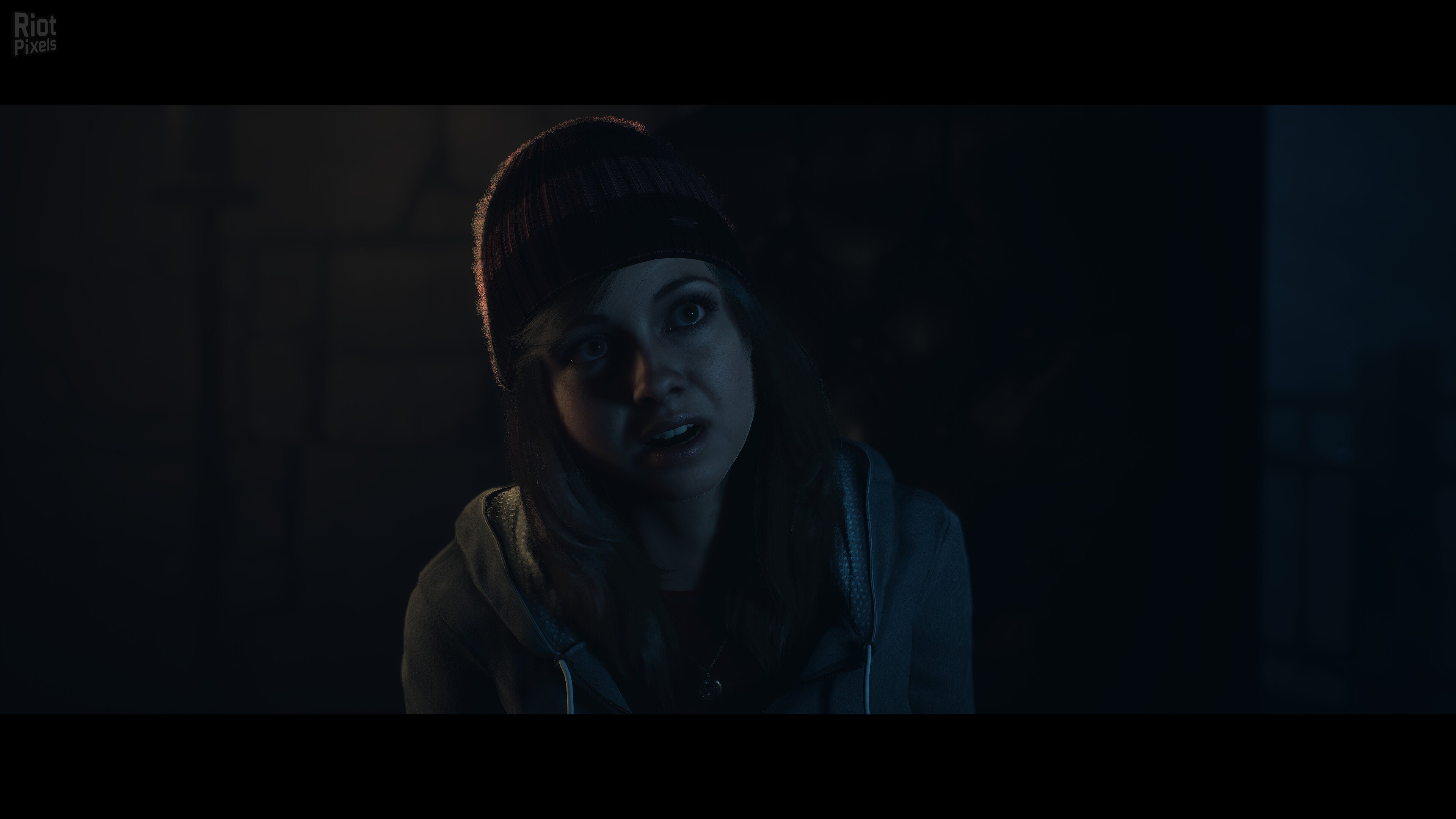 [13]-Until Dawn Download-HohohoGames