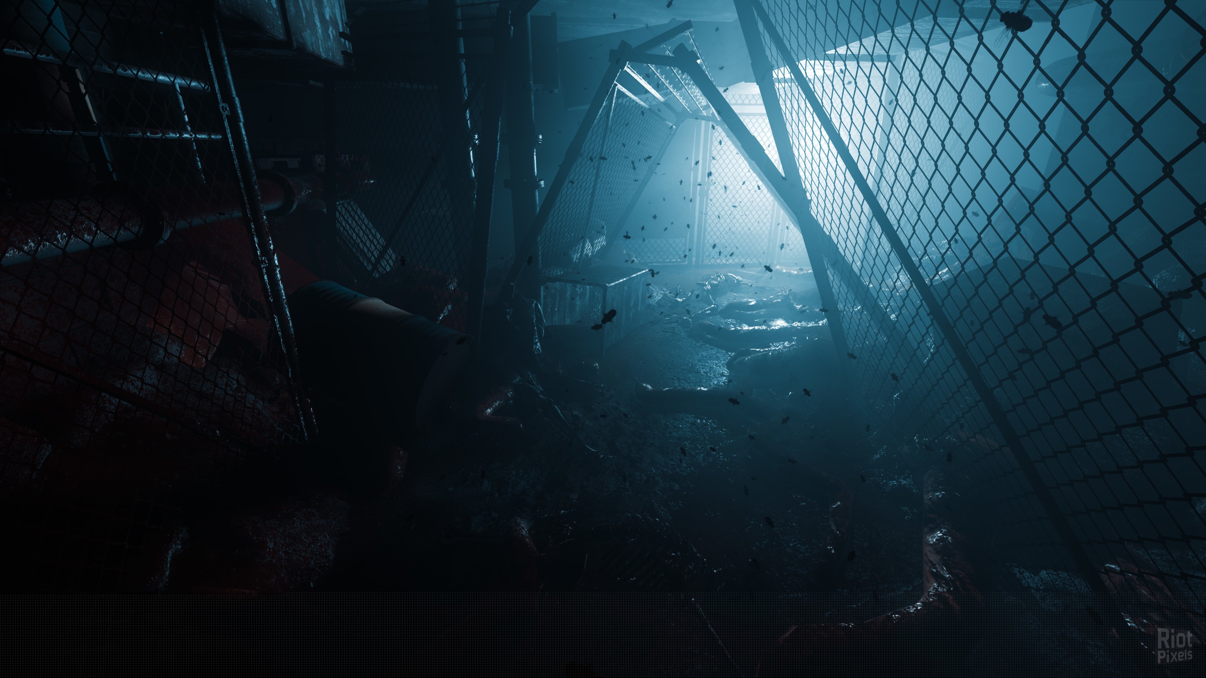[12]-ColdSide + Update 5 Download-HohohoGames