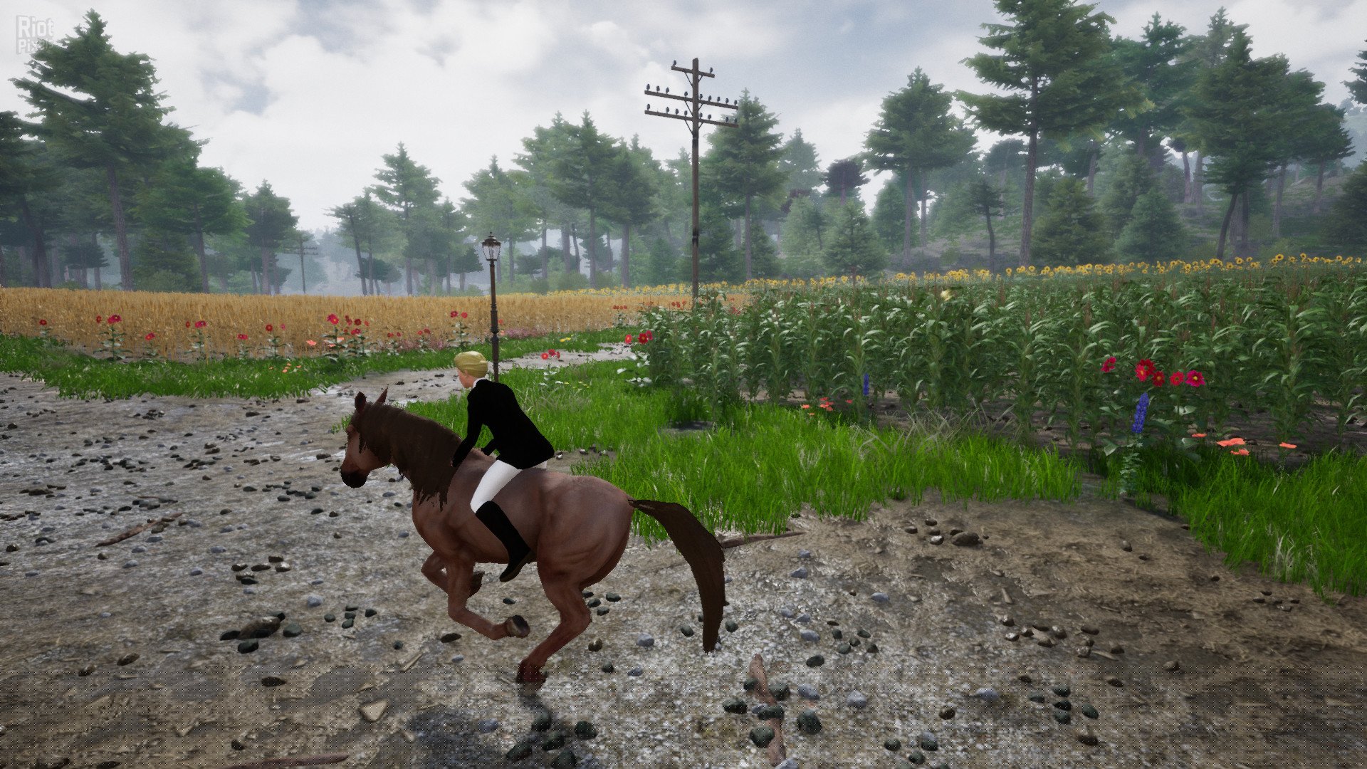 [4]-Horse Riding Deluxe 2 Download-HohohoGames