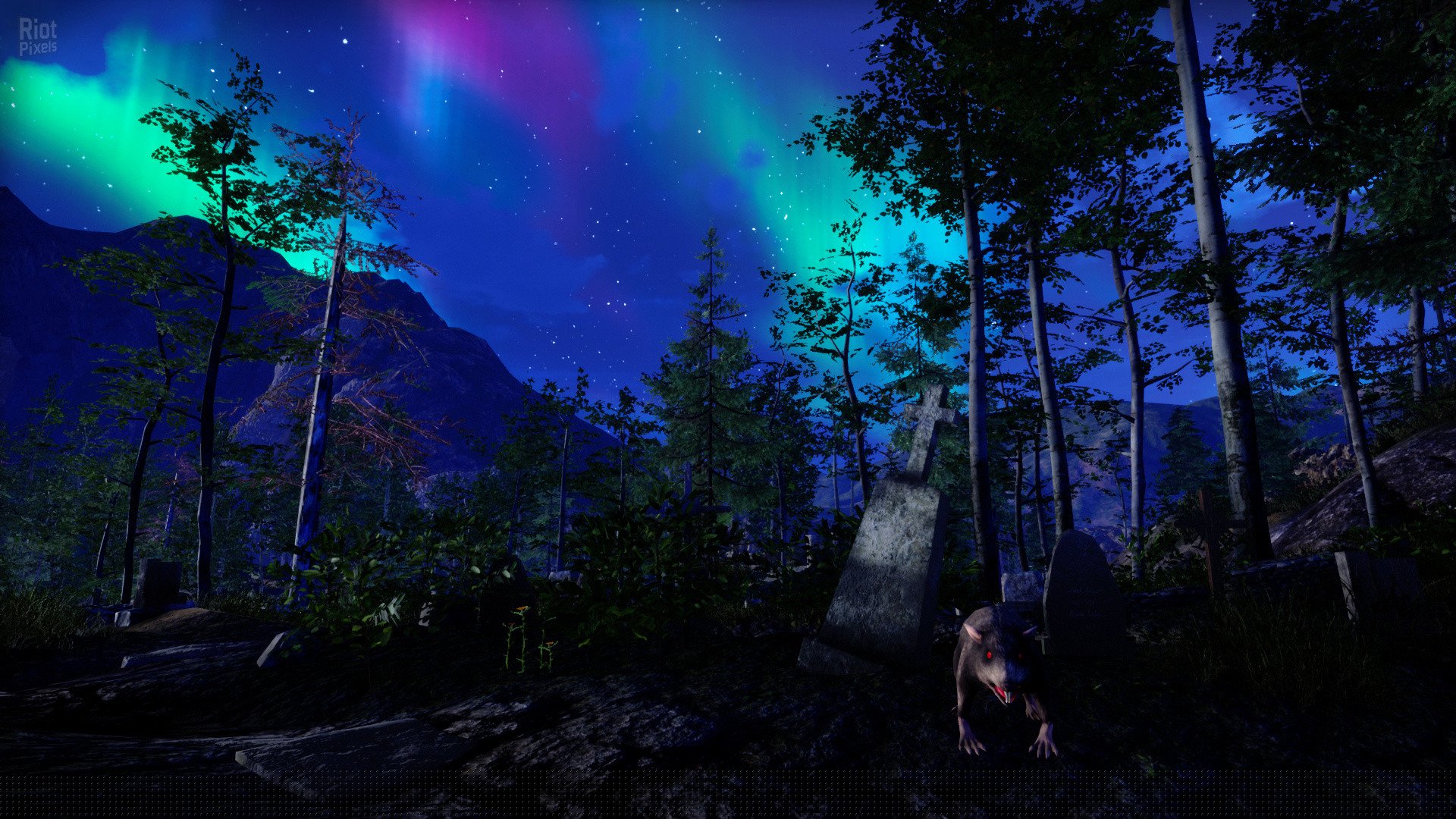 [5]-SpellMaster: The Saga – v0.8 Download-HohohoGames