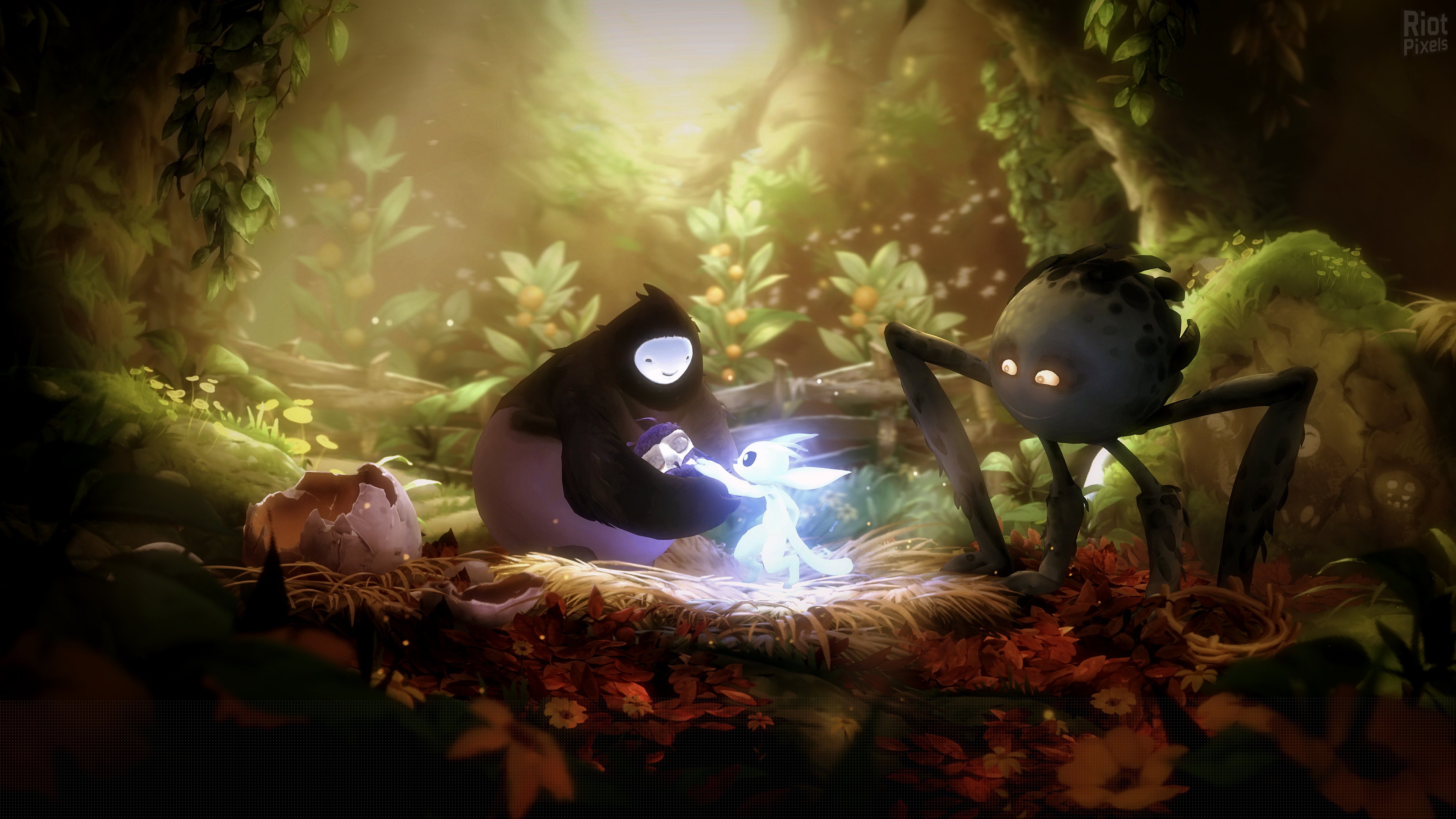 [14]-Ori and the Will of the Wisps Download-HohohoGames