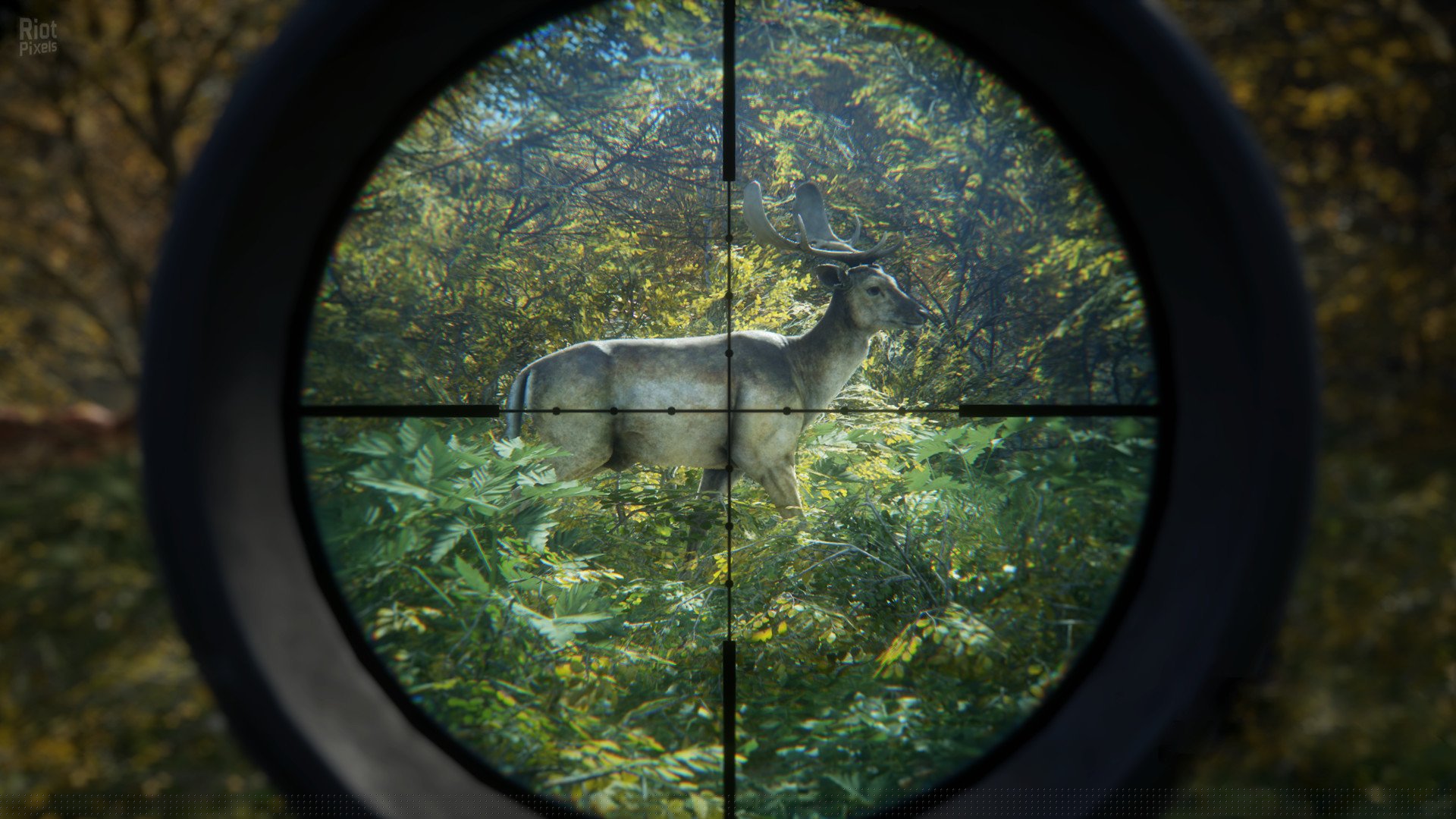 [10]-theHunter: Call of the Wild – Complete Collection – v2891297 + 64 DLCs Download-HohohoGames
