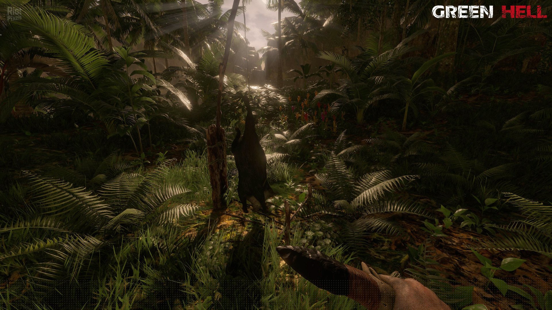 [5]-Green Hell – v2.2.0 build 31580 / v2.2.1 build 31671 Download-HohohoGames