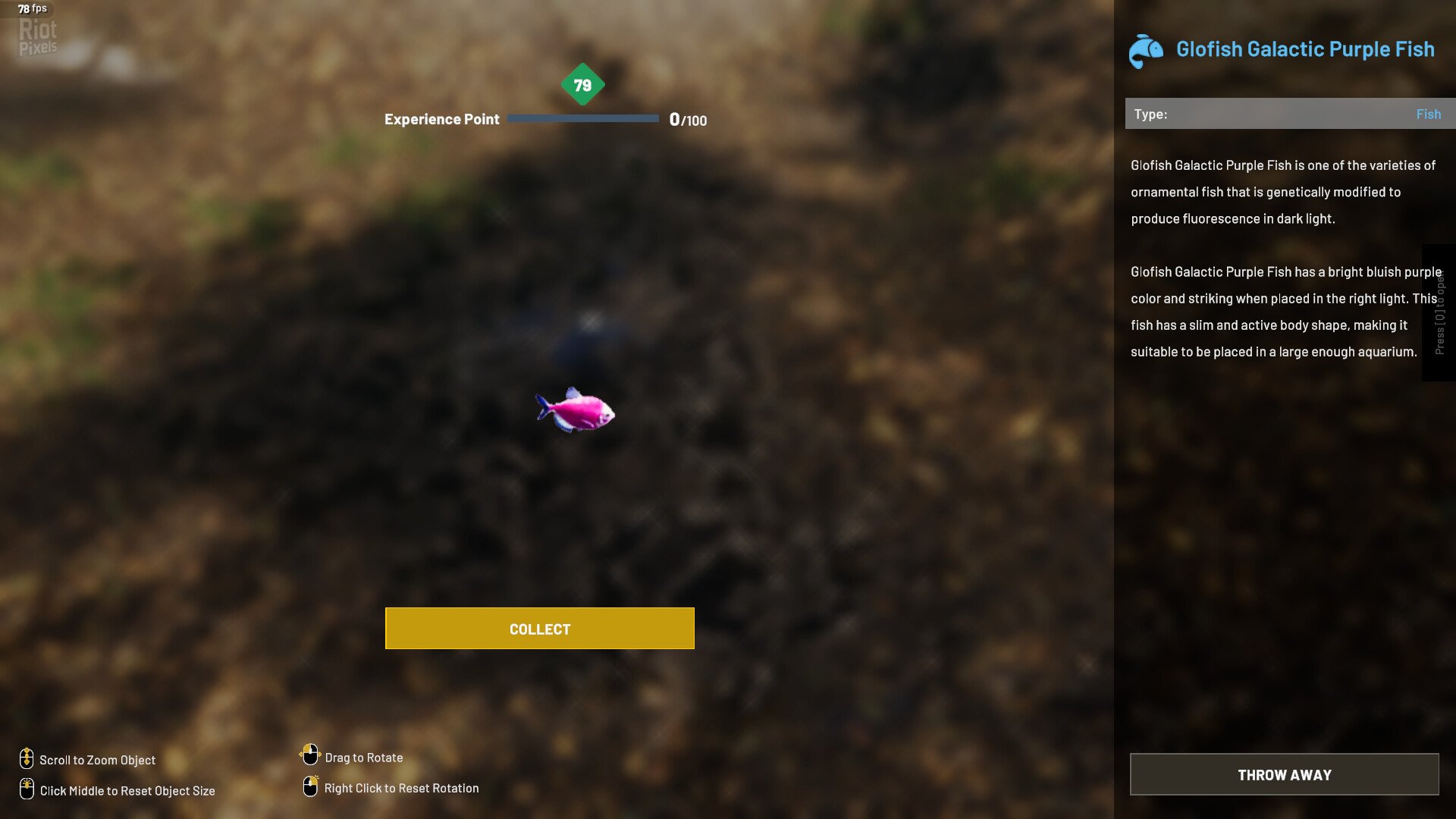 [4]-Aquascapers – v2024.18.4 (Release) Download-HohohoGames