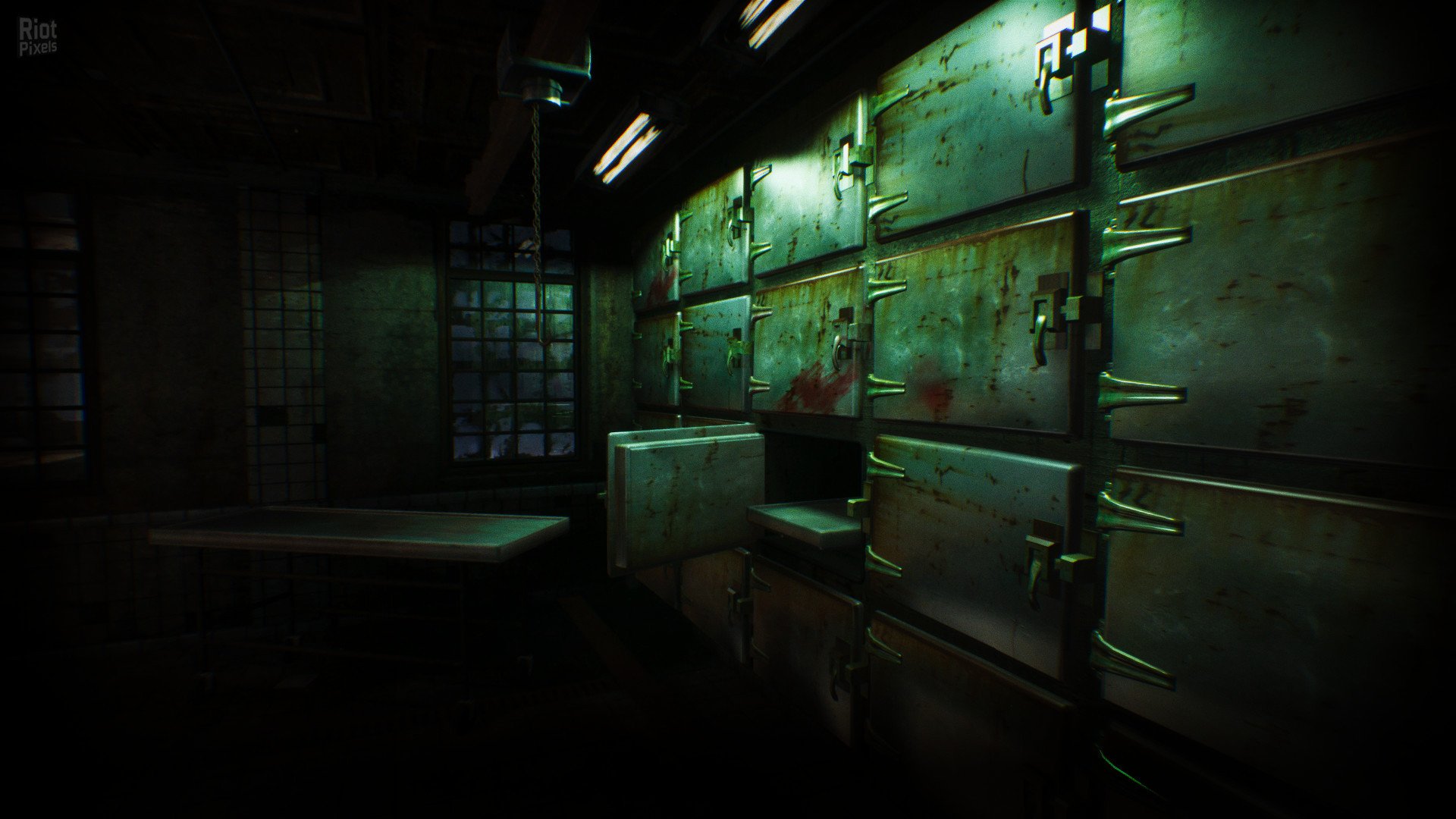 [5]-ASYLUM Download-HohohoGames