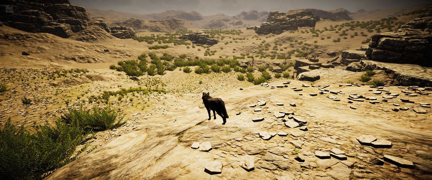 [13]-Animal Simulator Download-HohohoGames