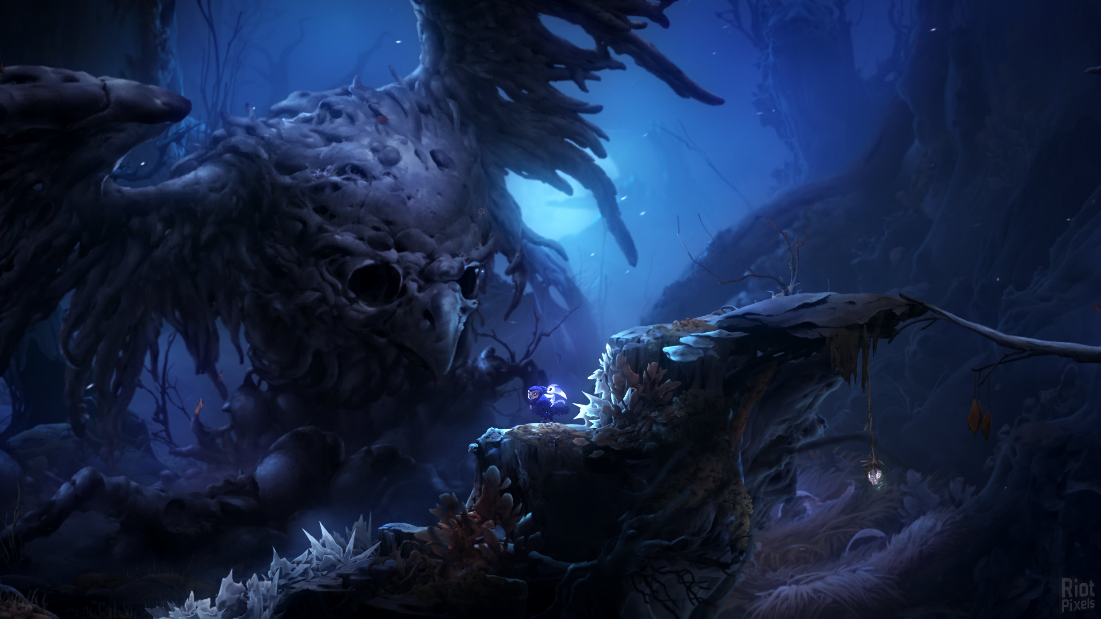 [10]-Ori and the Will of the Wisps Download-HohohoGames