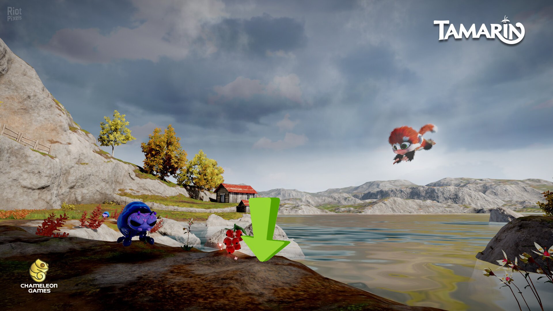 [15]-Tamarin Download-HohohoGames